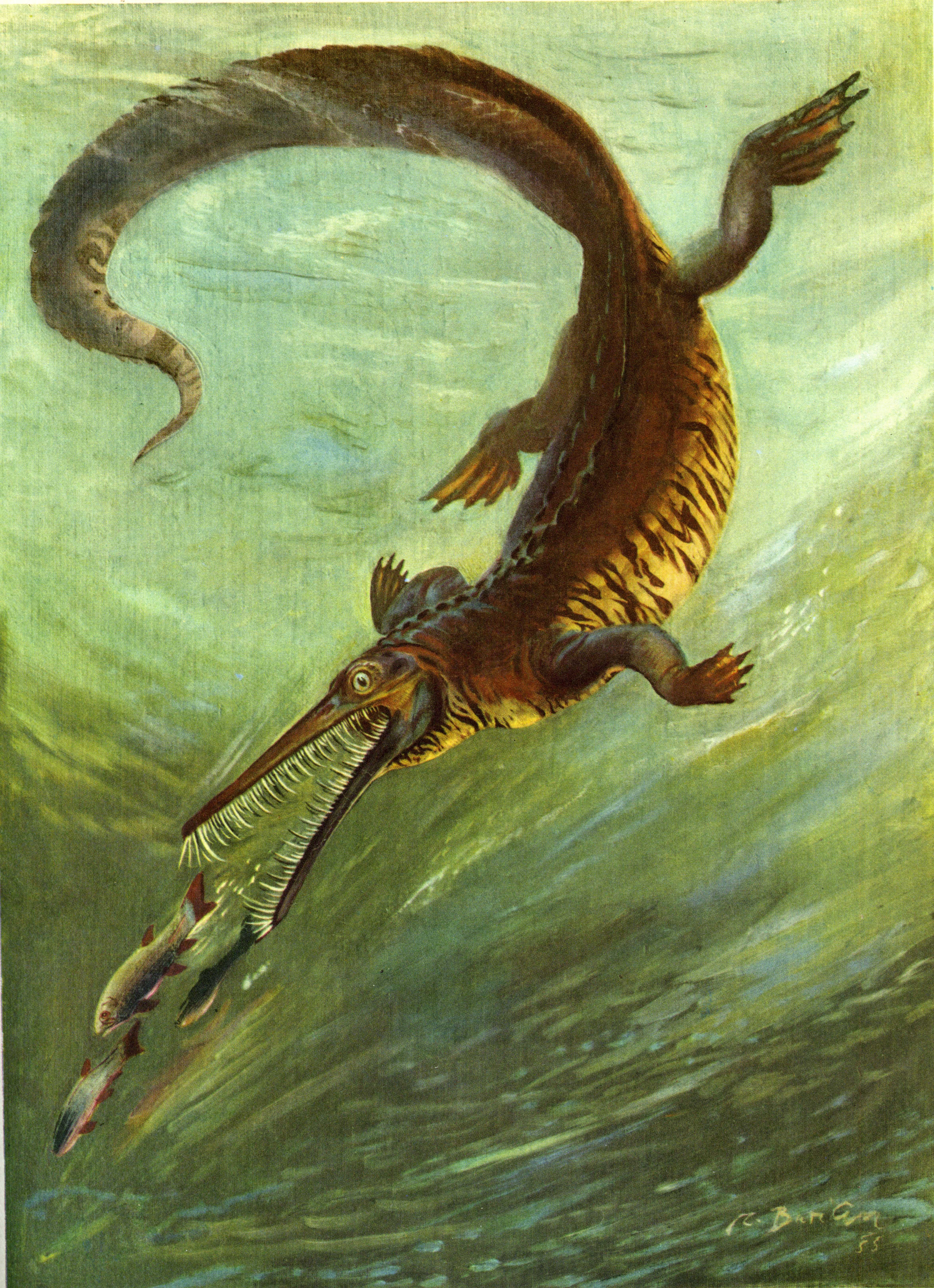 Mesosaurus hunting fish underwater, artwork by Zdenek Burian HD Phone Wallpaper