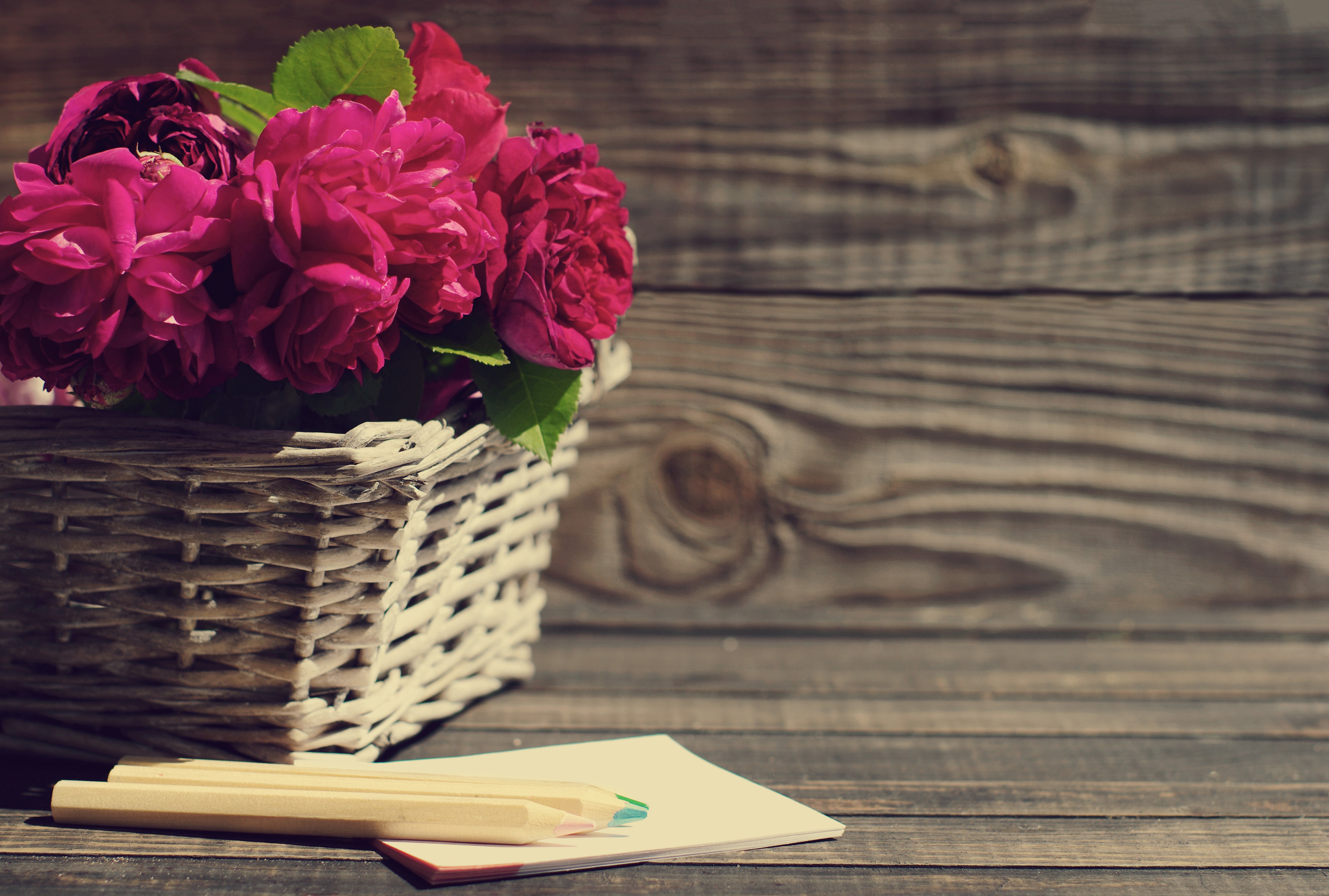 Wine colored roses in a wicker basket with pencils HD Wallpaper