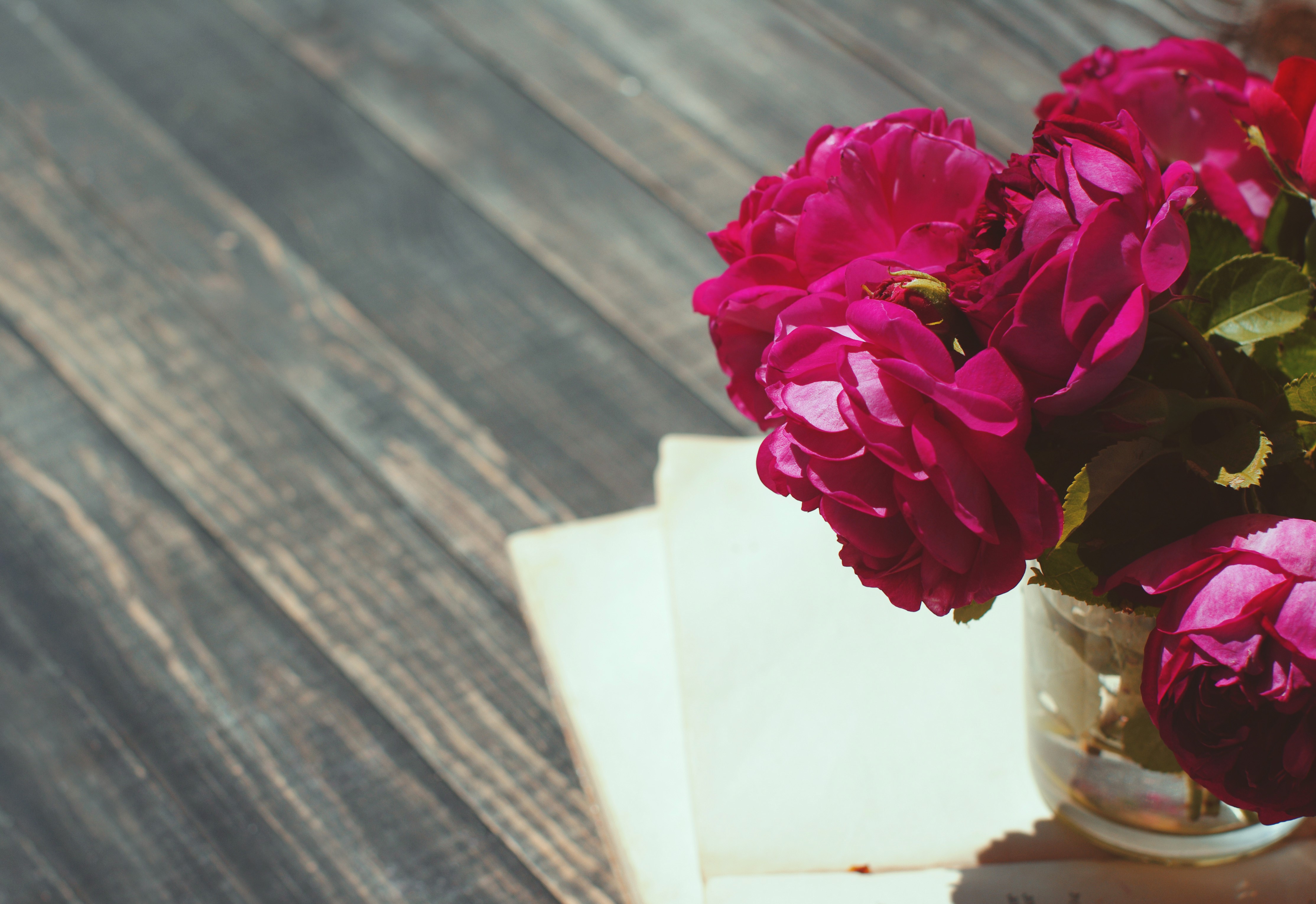 Wine colored roses on wooden planks HD Wallpaper