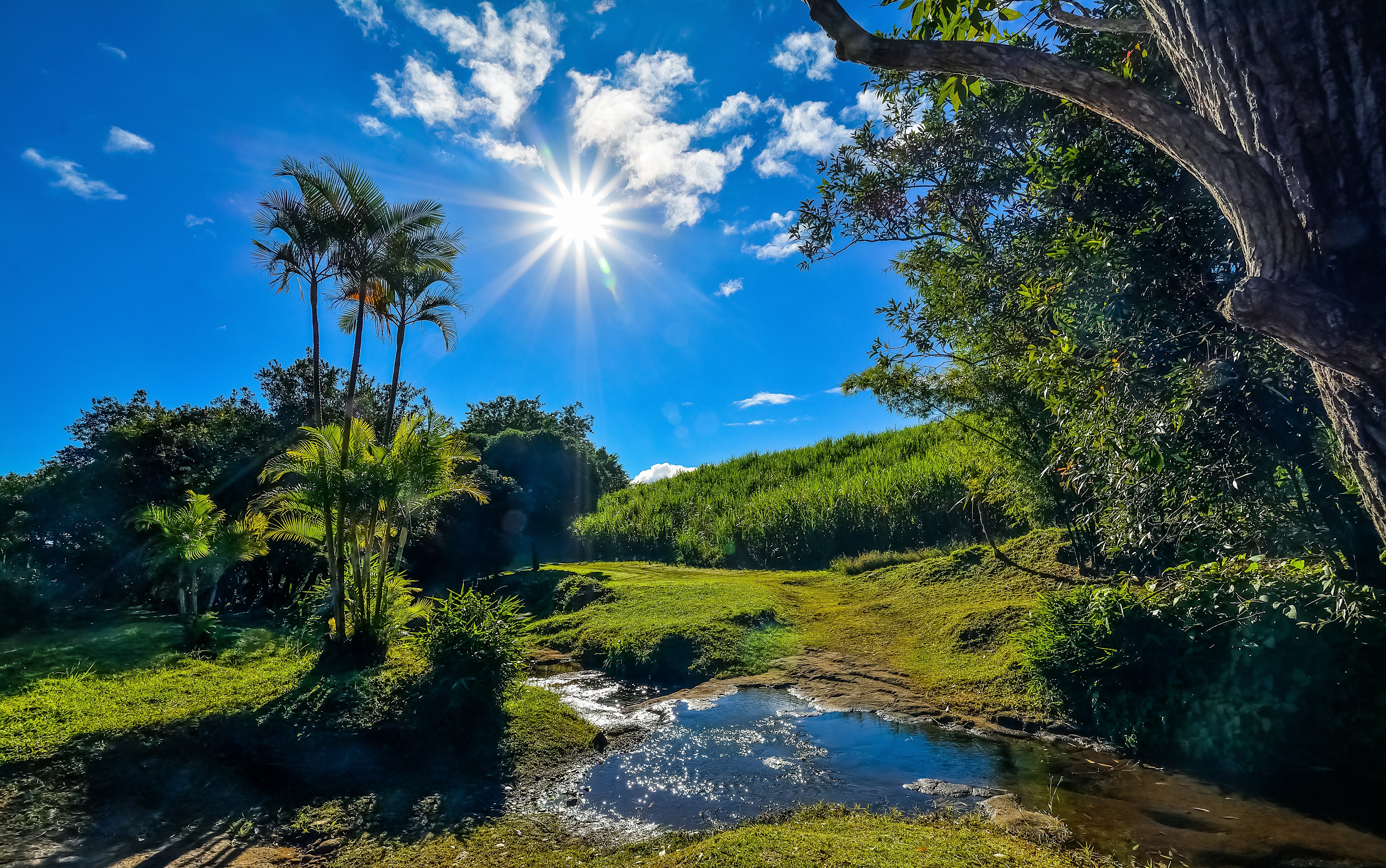 4K Saint-Benoit Reunion: Sun, Sky, Stream, and Nature HD Wallpaper