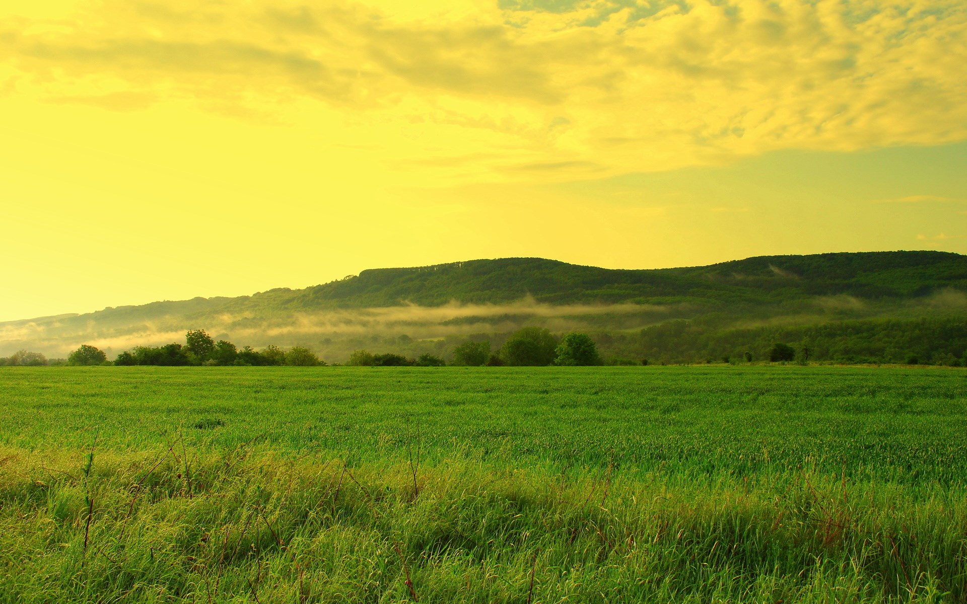 Green field with rolling hills and yellow sky HD Wallpaper