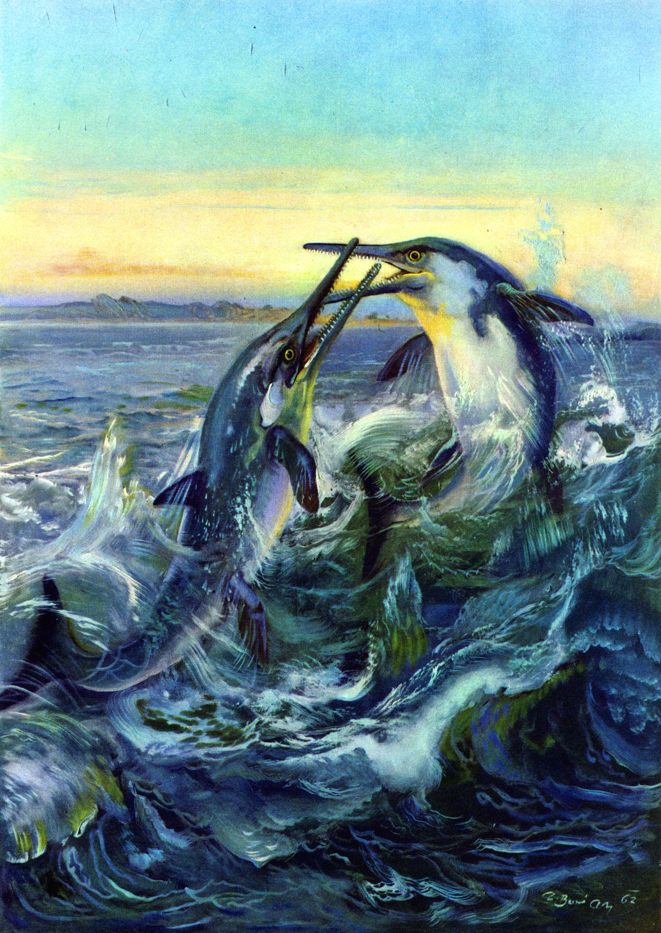Two Ichthyosaurs fighting in the ocean HD Phone Wallpaper