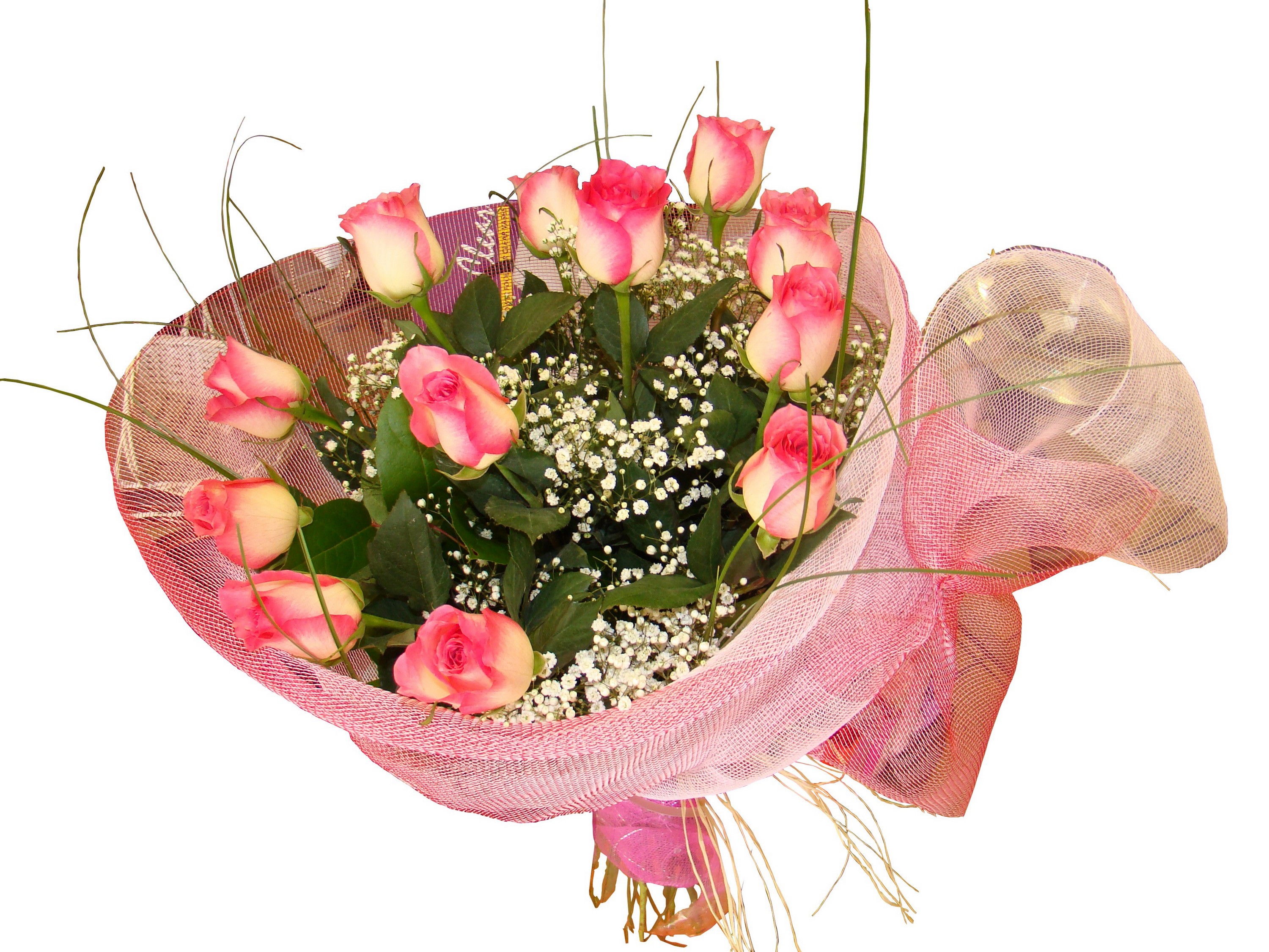 Bouquet of pink and white roses with baby's breath HD Wallpaper