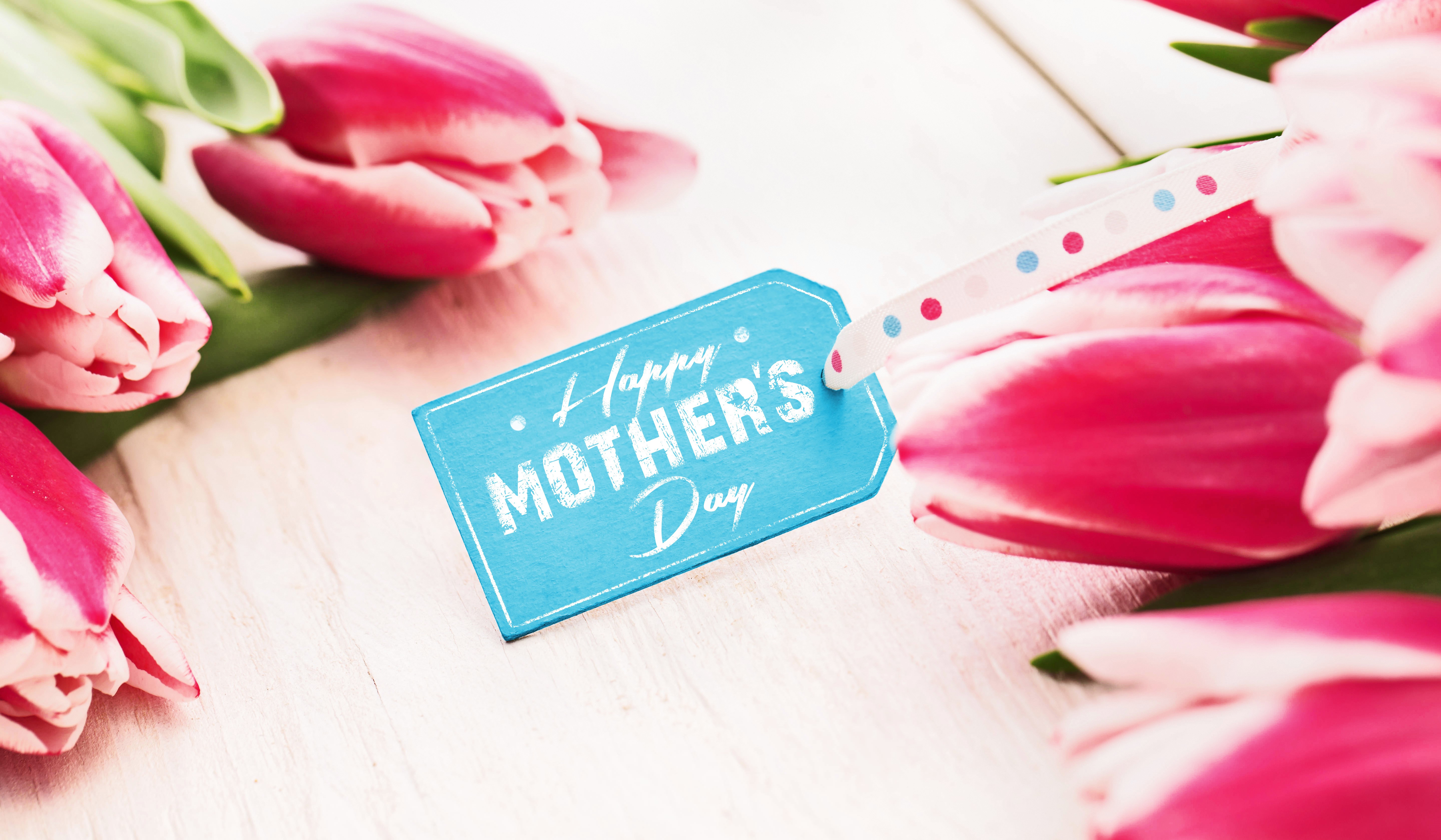 Happy Mother's Day Tulips HD Wallpaper