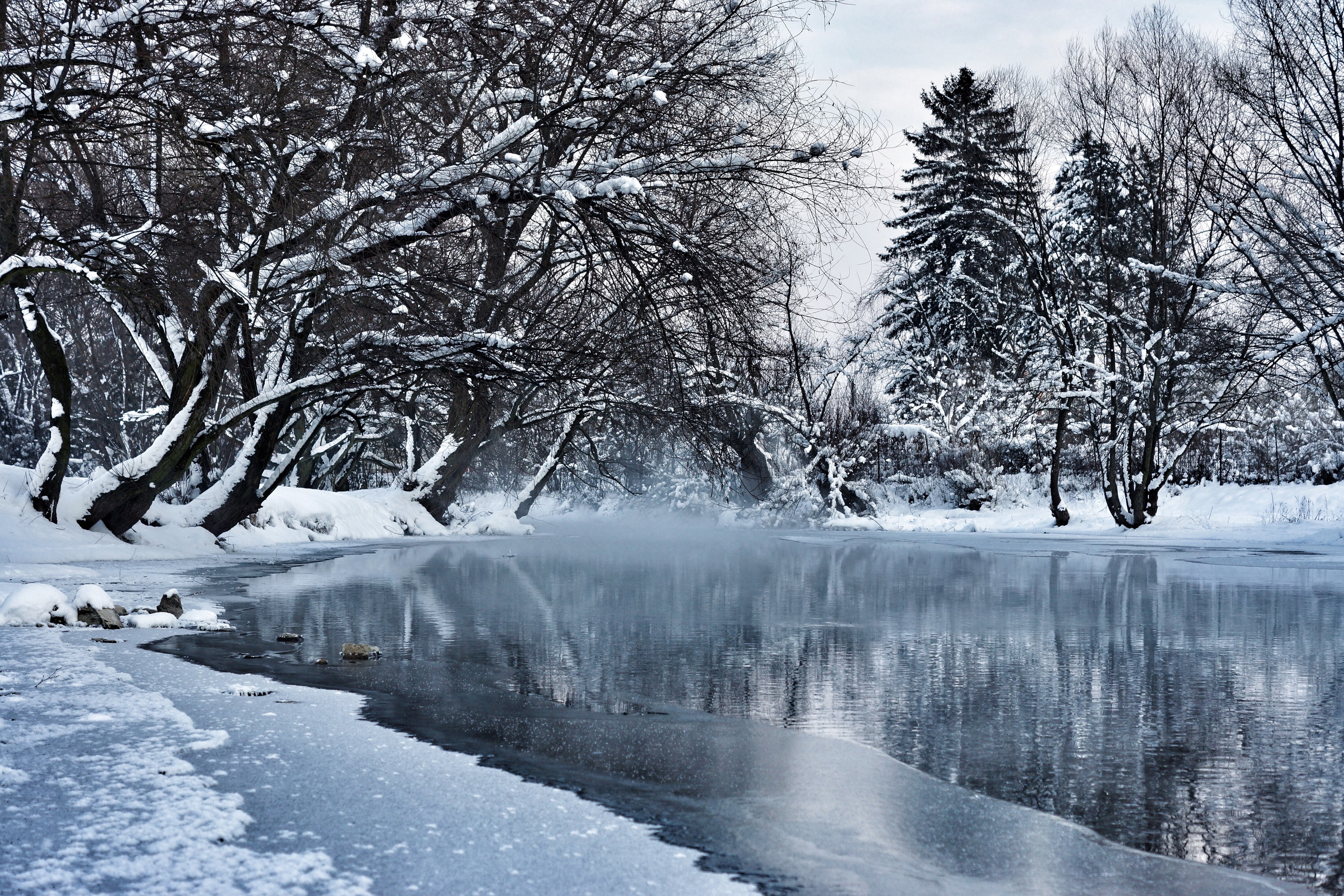 Winter scene with a frozen pond and snow-covered trees in Sarajevo HD Wallpaper