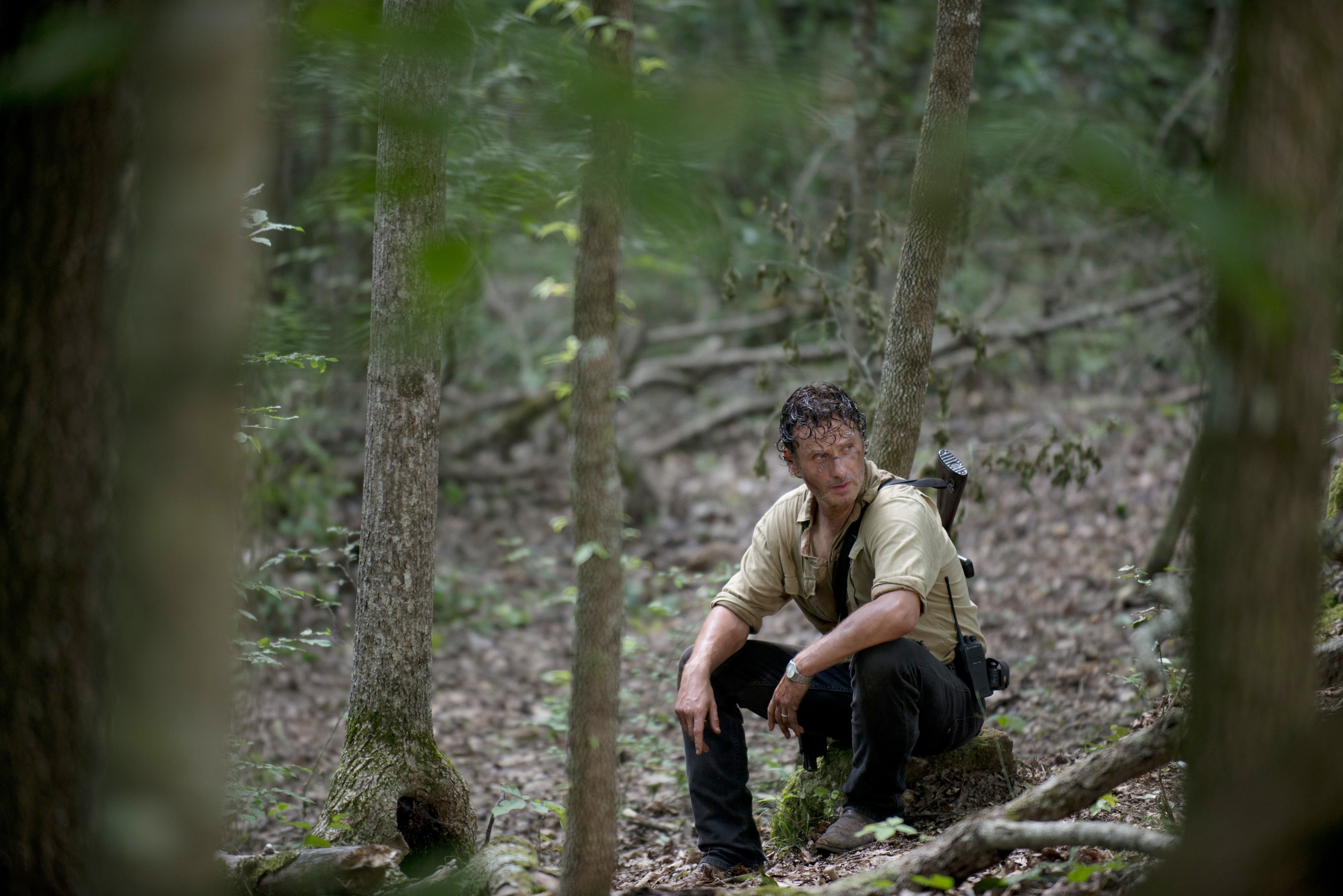 Rick Grimes from The Walking Dead sitting in a forest HD Wallpaper