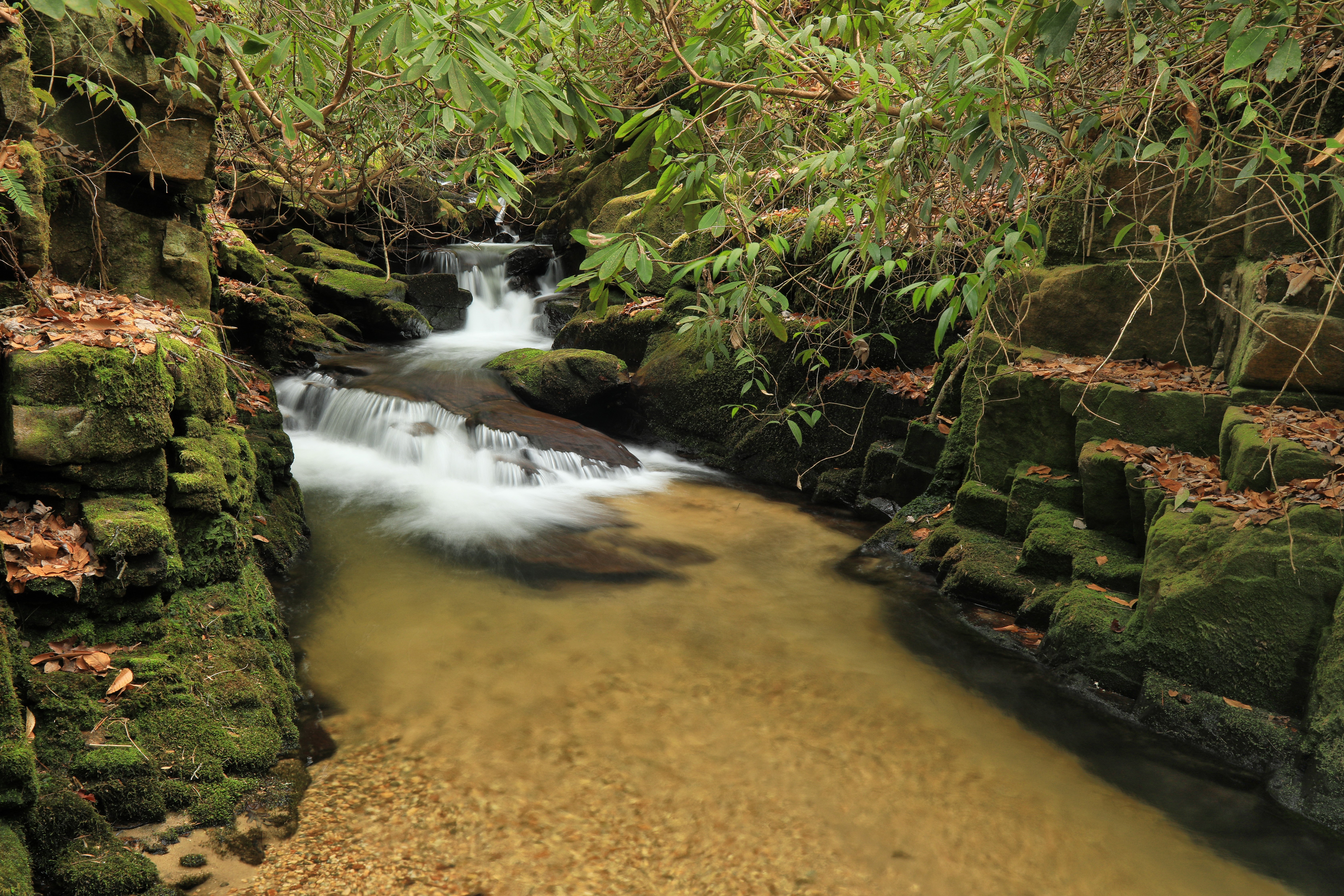 Waterfalls flowing over mossy stones in South Carolina, USA HD Wallpaper