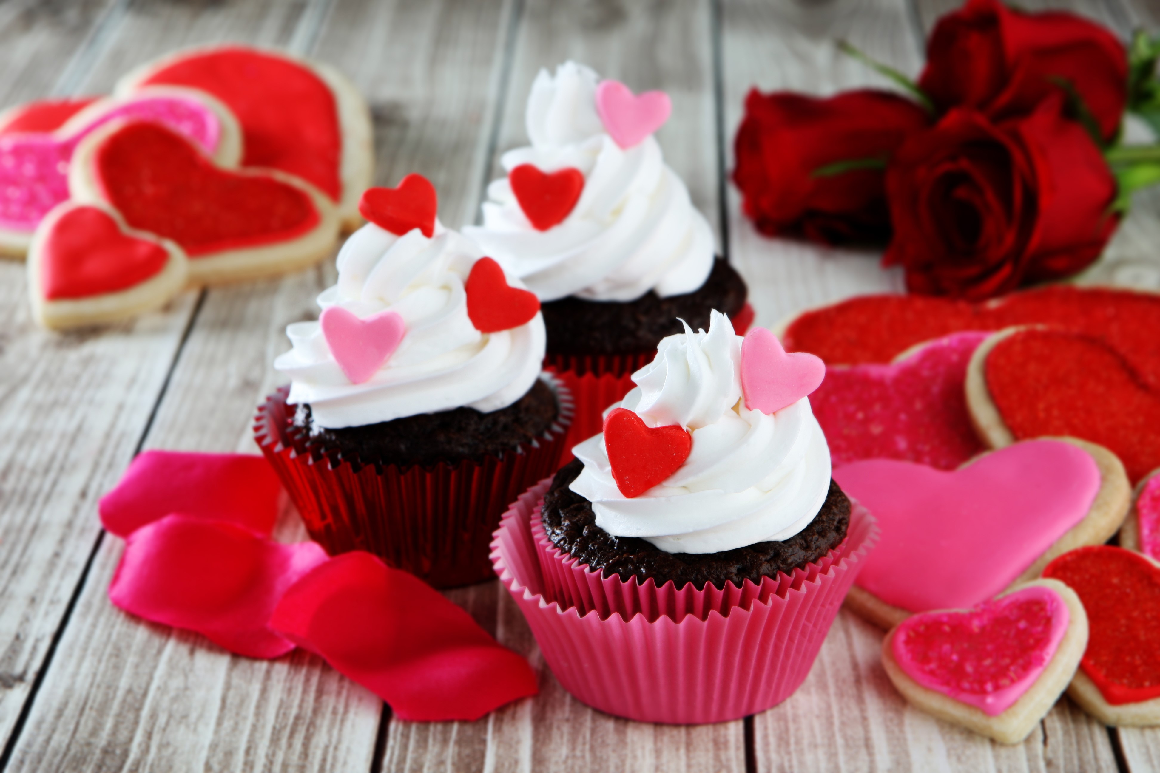 Valentine's Day Cupcakes and Cookies with Roses HD Wallpaper