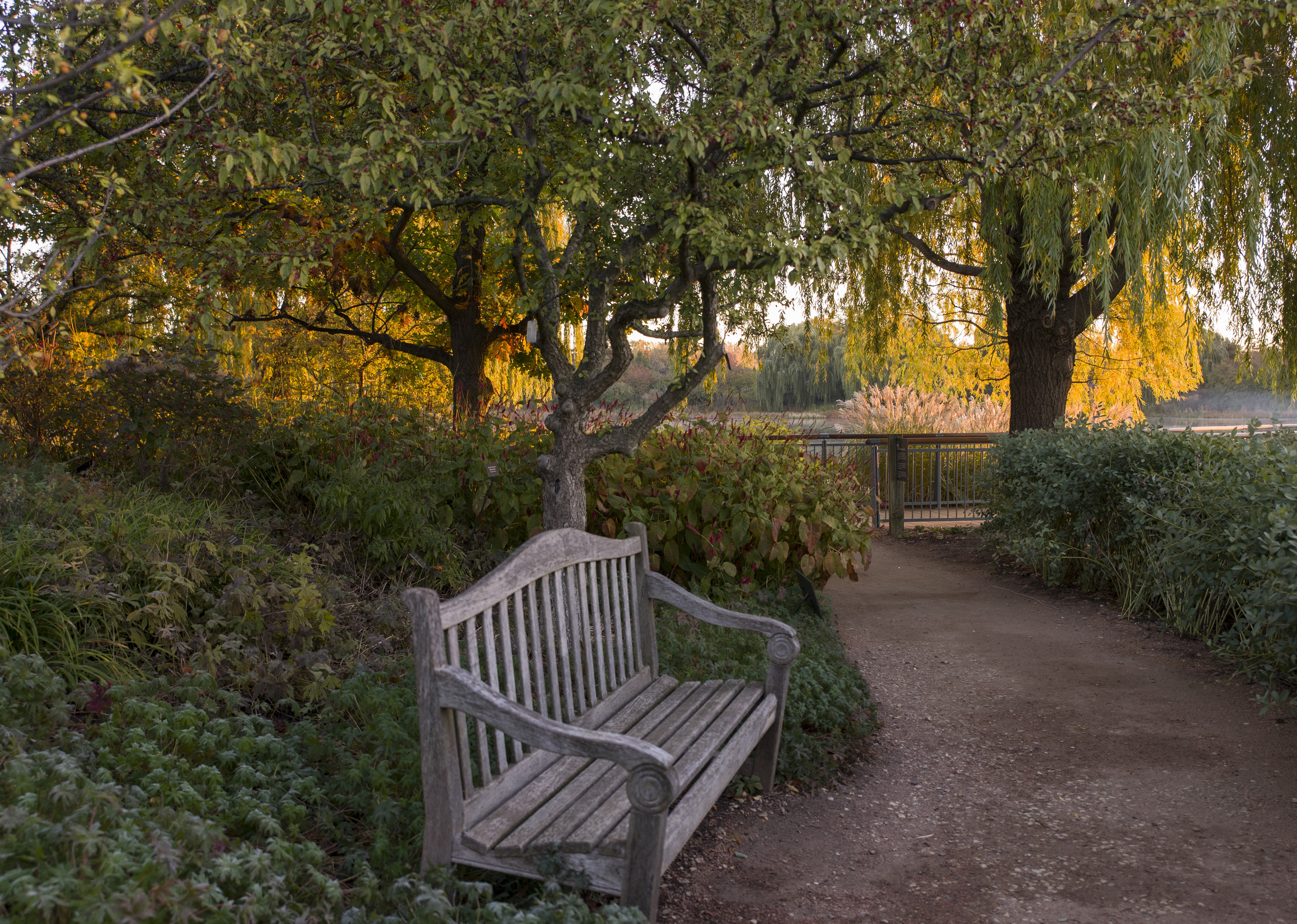 Wooden bench in a park with trees and a pond HD Wallpaper