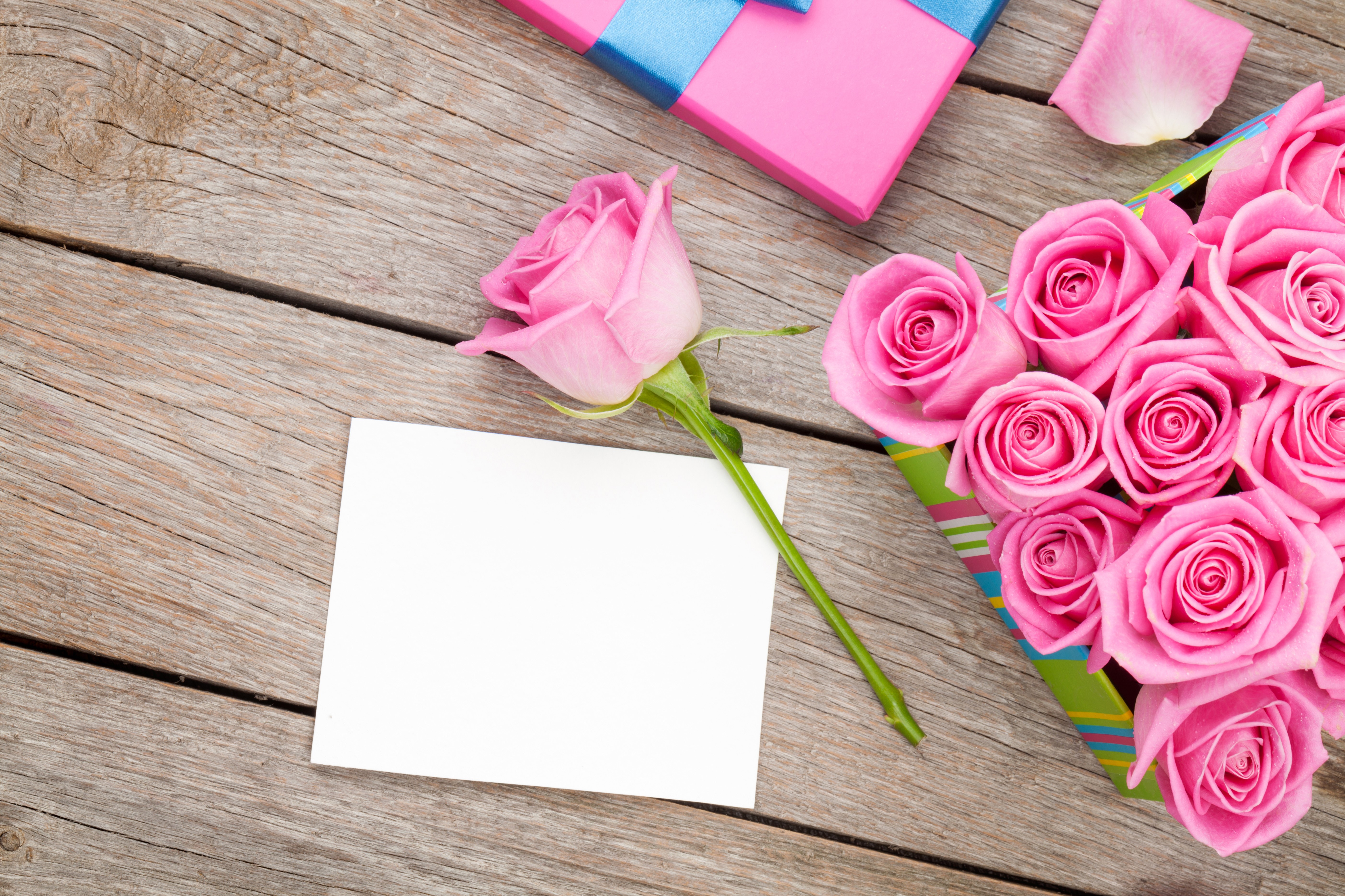 Pink roses and gift box on wooden planks HD Wallpaper