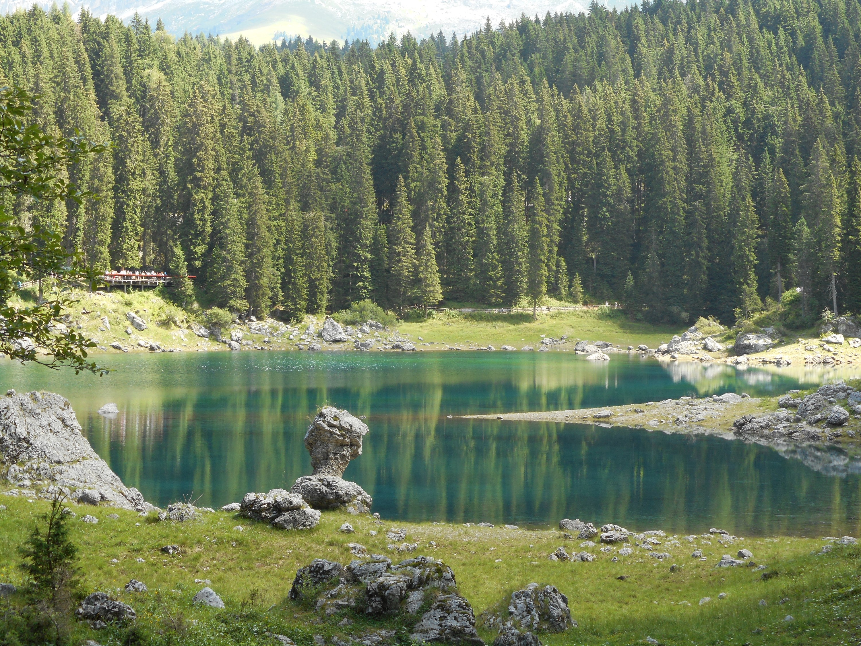 Lake Carezza with Forest and Mountains in Italy HD Wallpaper