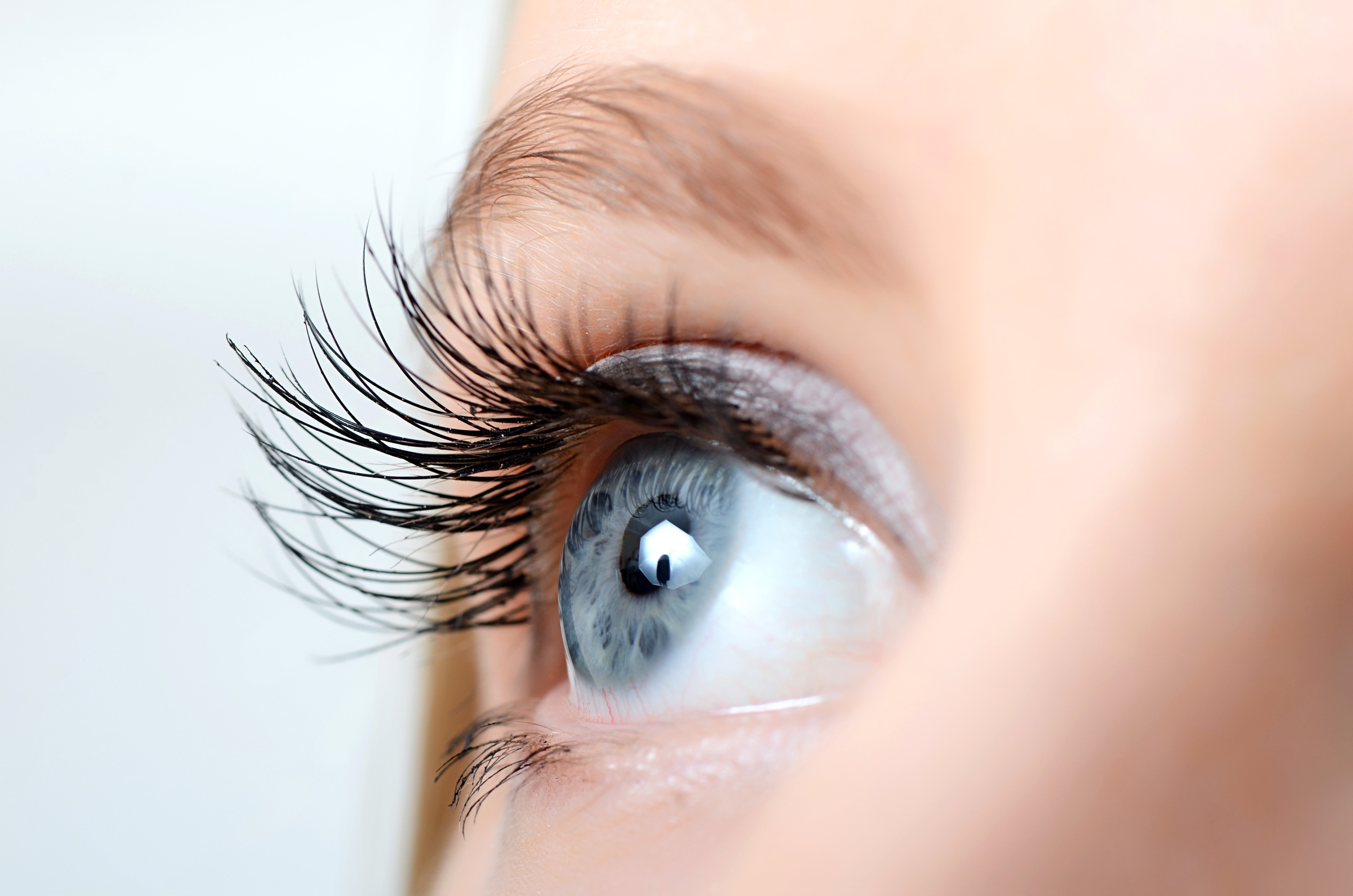 Macro closeup of a blue eye with long eyelashes HD Wallpaper