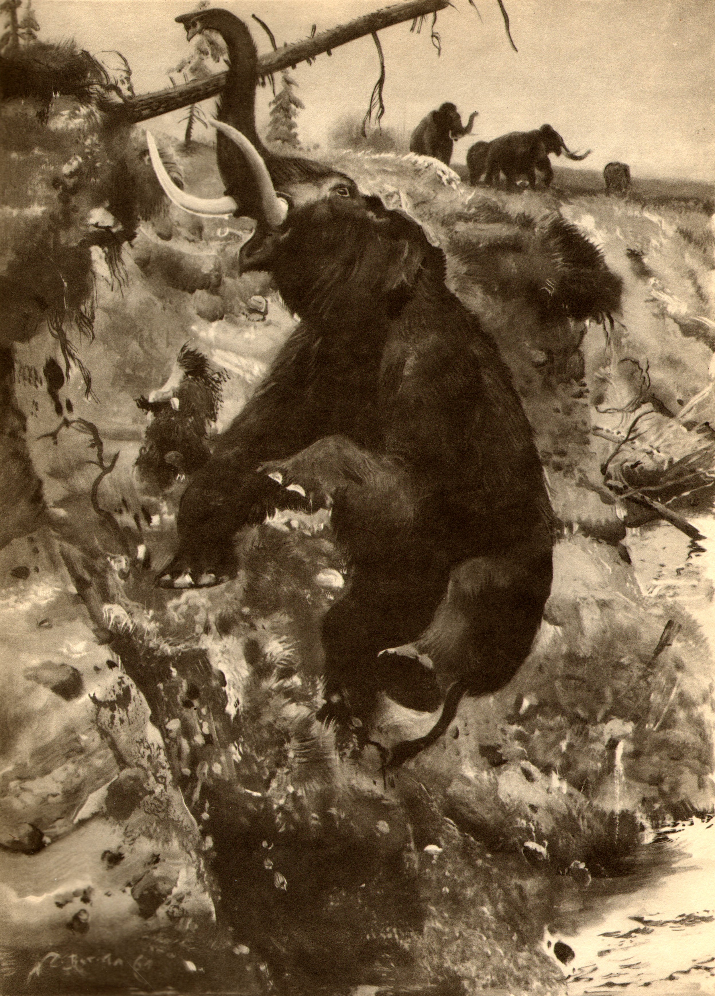 Mammoth on a rocky slope with other mammoths in the background HD Phone Wallpaper