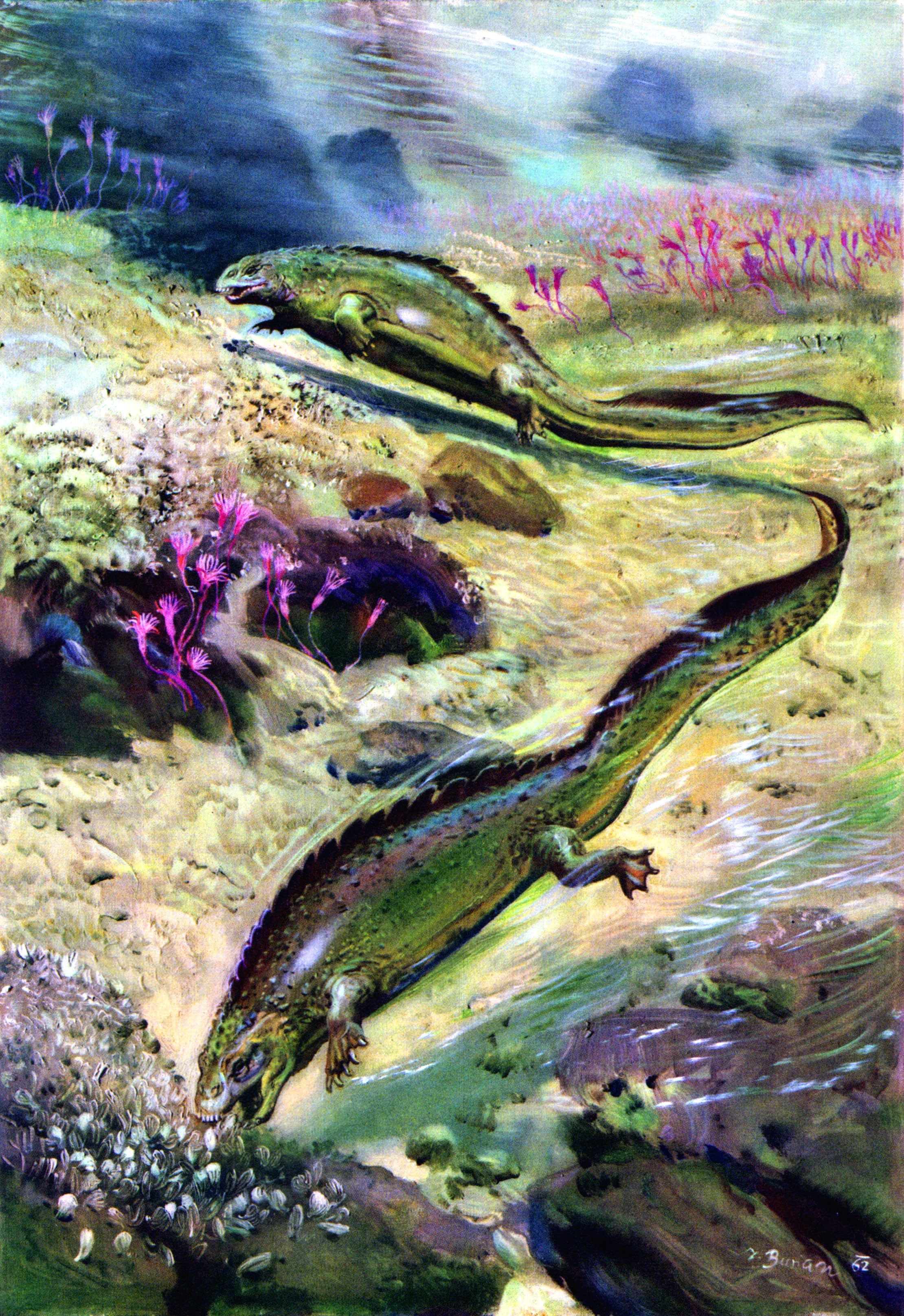 Placodus gigas underwater scene by Zdenek Burian HD Phone Wallpaper