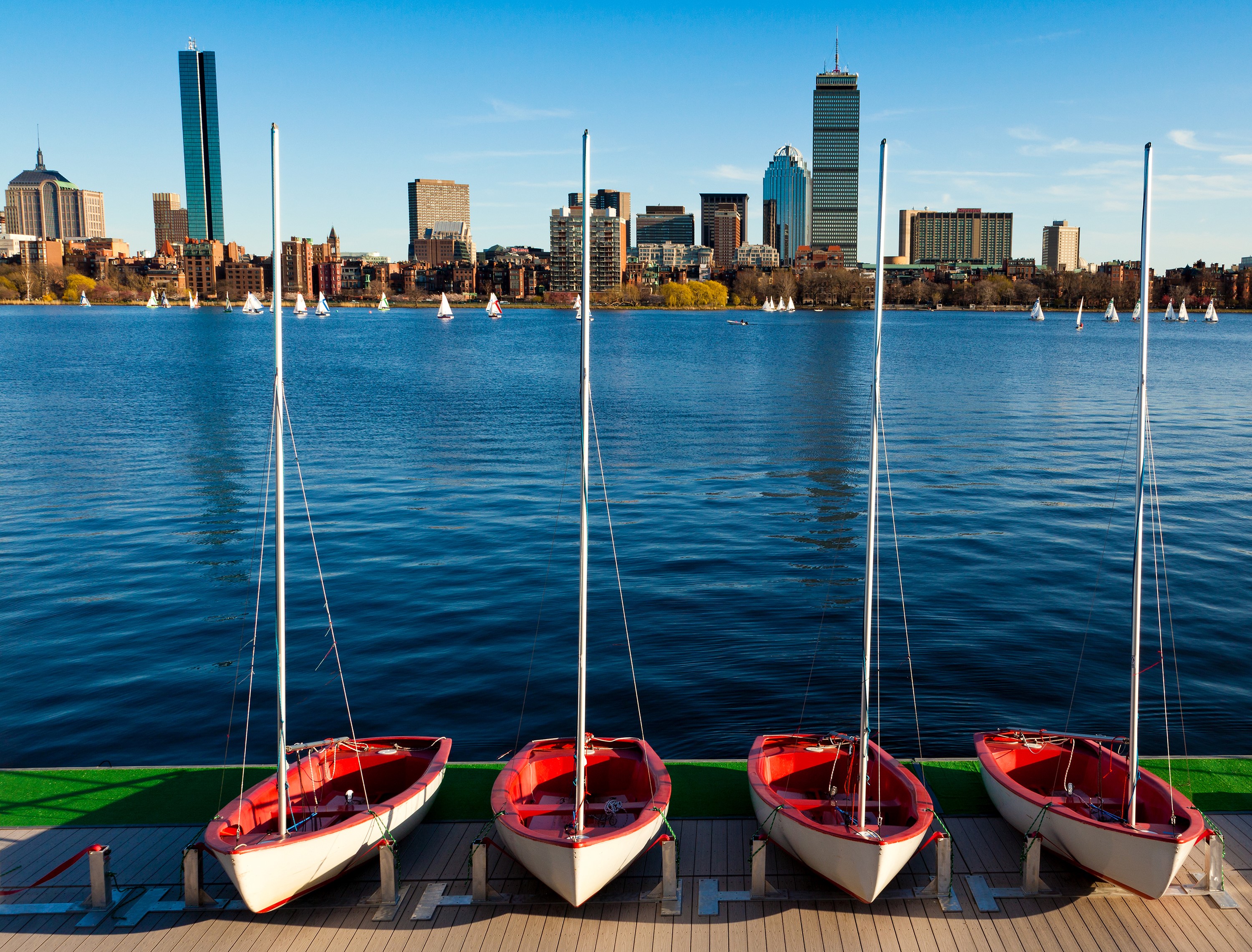 Sailboats on the Charles River with Boston Skyline HD Wallpaper