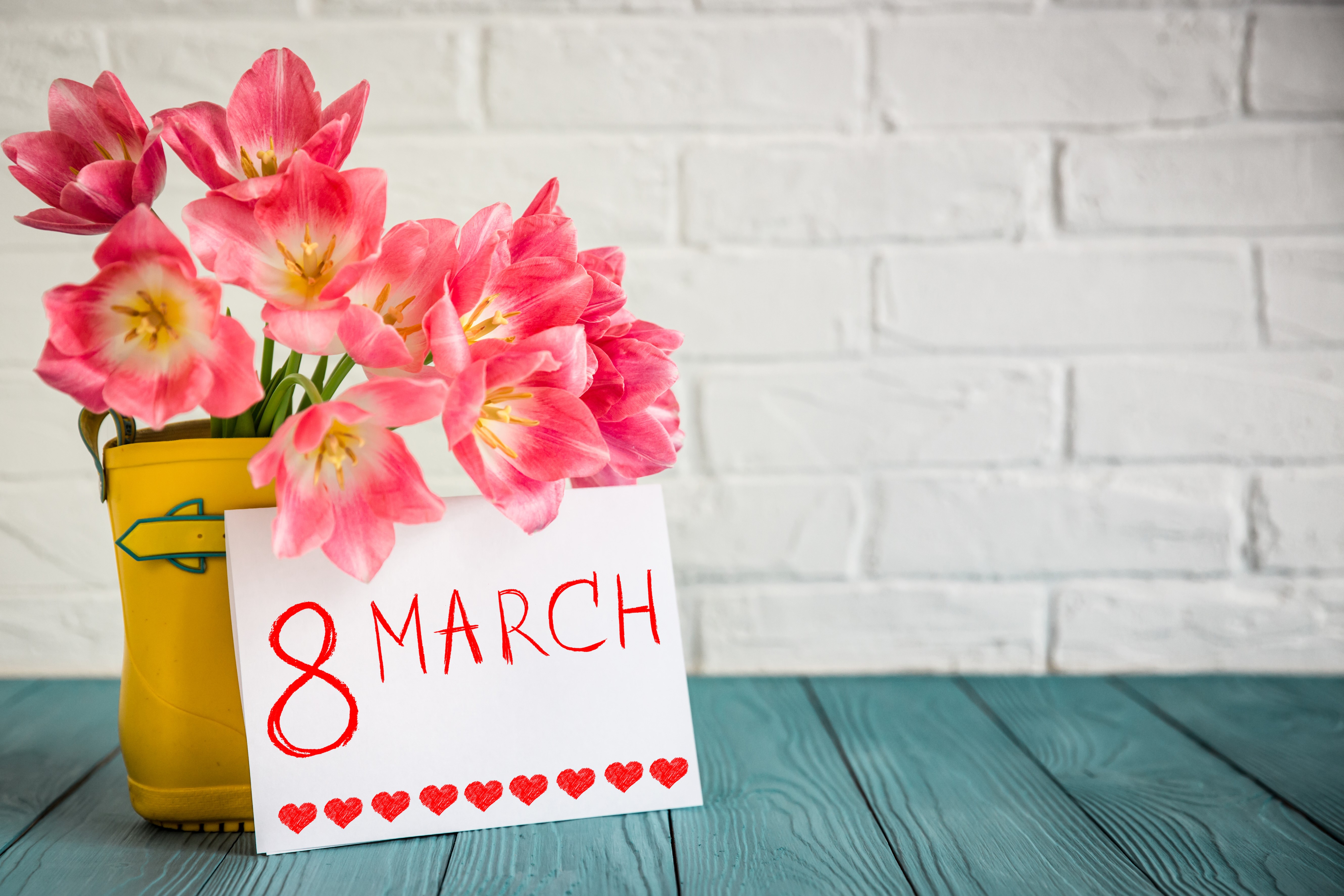 Pink Tulips in Yellow Boot with 8 March Card HD Wallpaper