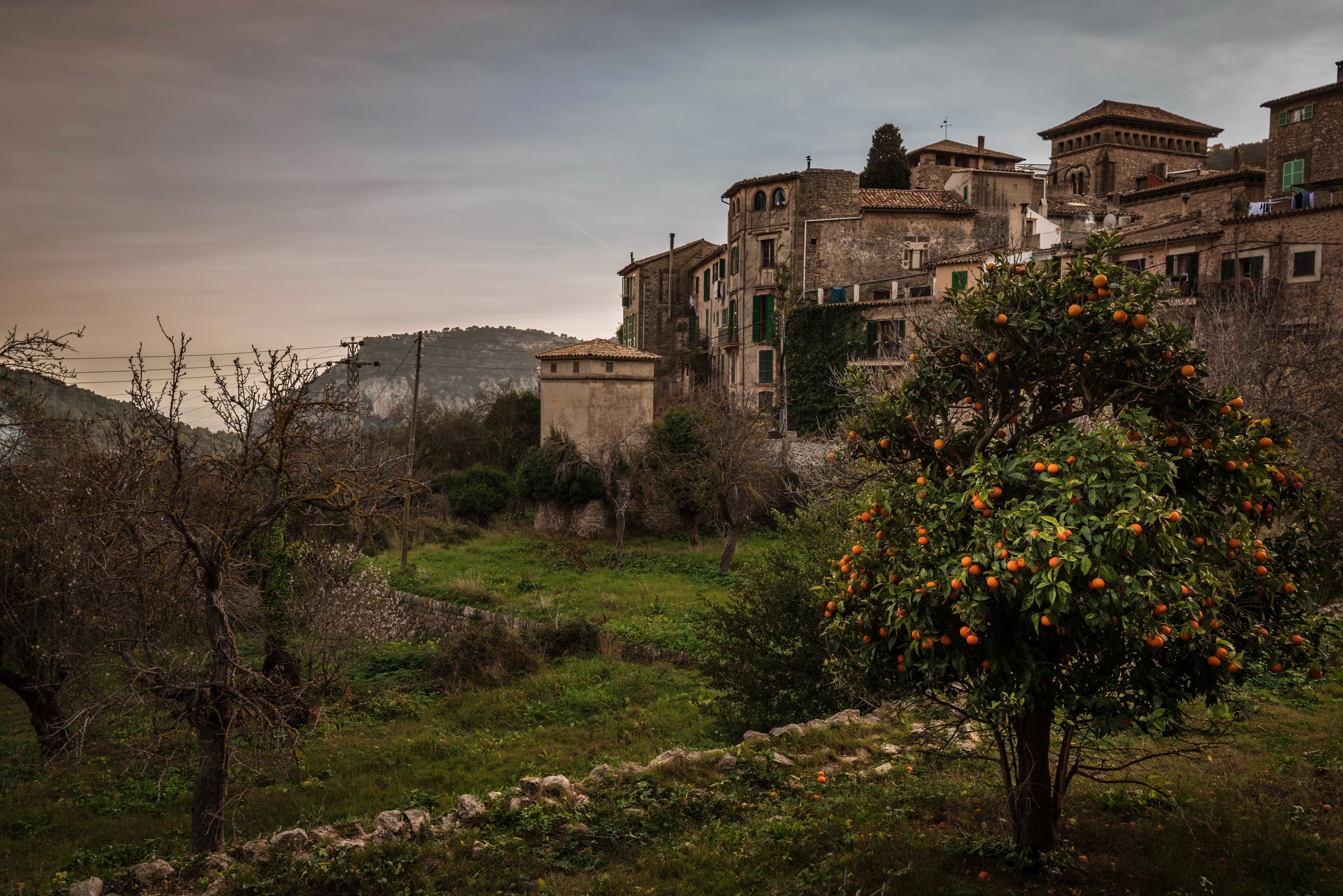 Valldemossa, Mallorca, Spain - Houses and Orange Tree HD Wallpaper