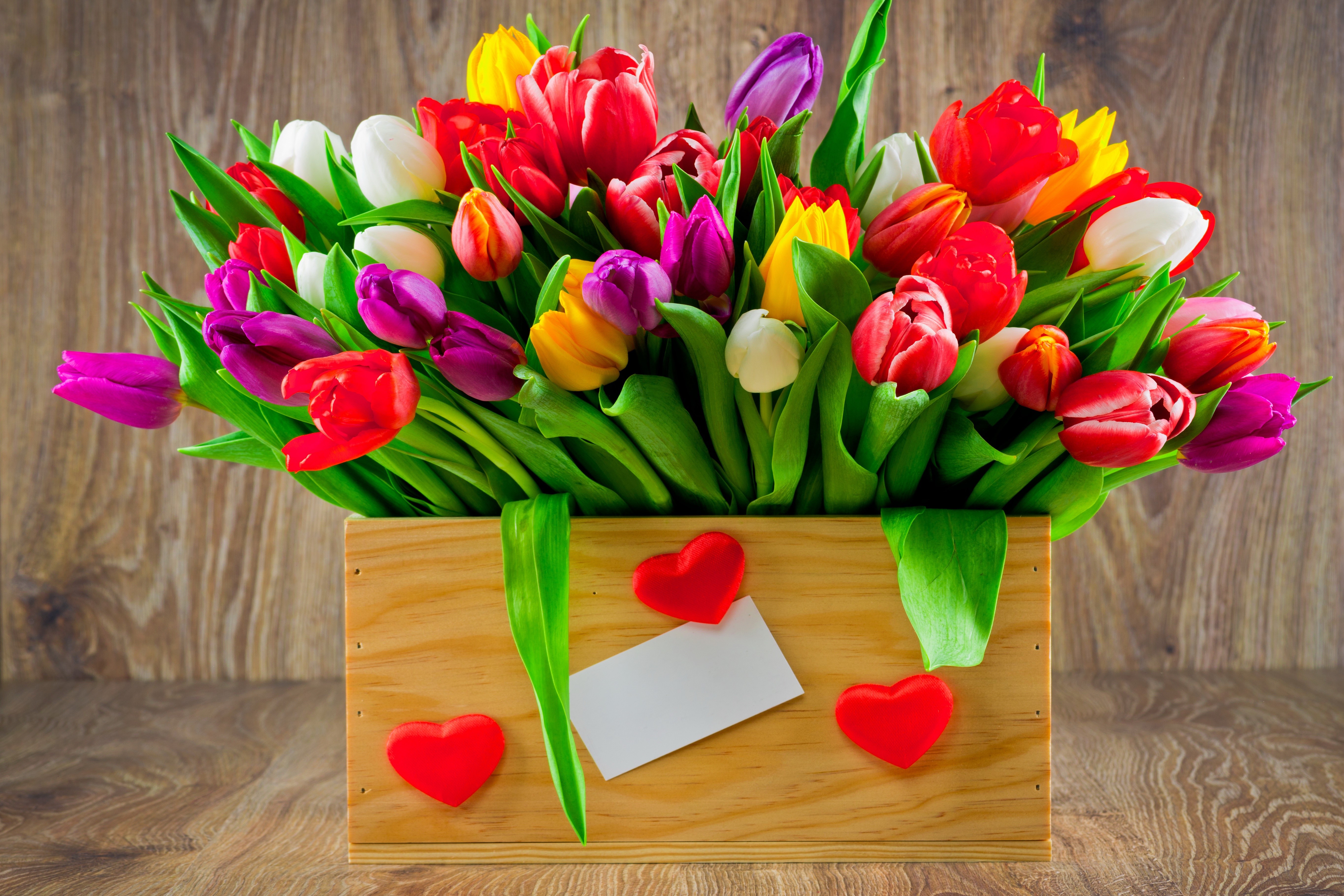 Multicolor Tulips in a Wooden Box with Hearts HD Wallpaper