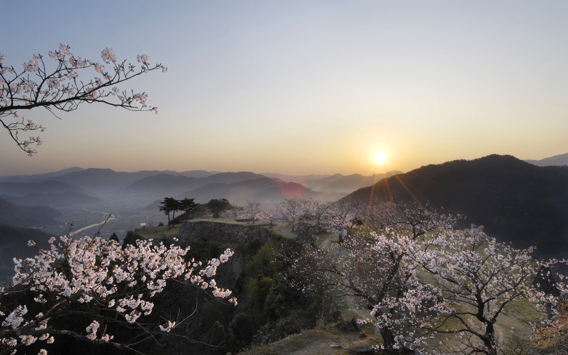 Sunrise over mountains with cherry blossoms and castle ruins HD Wallpaper