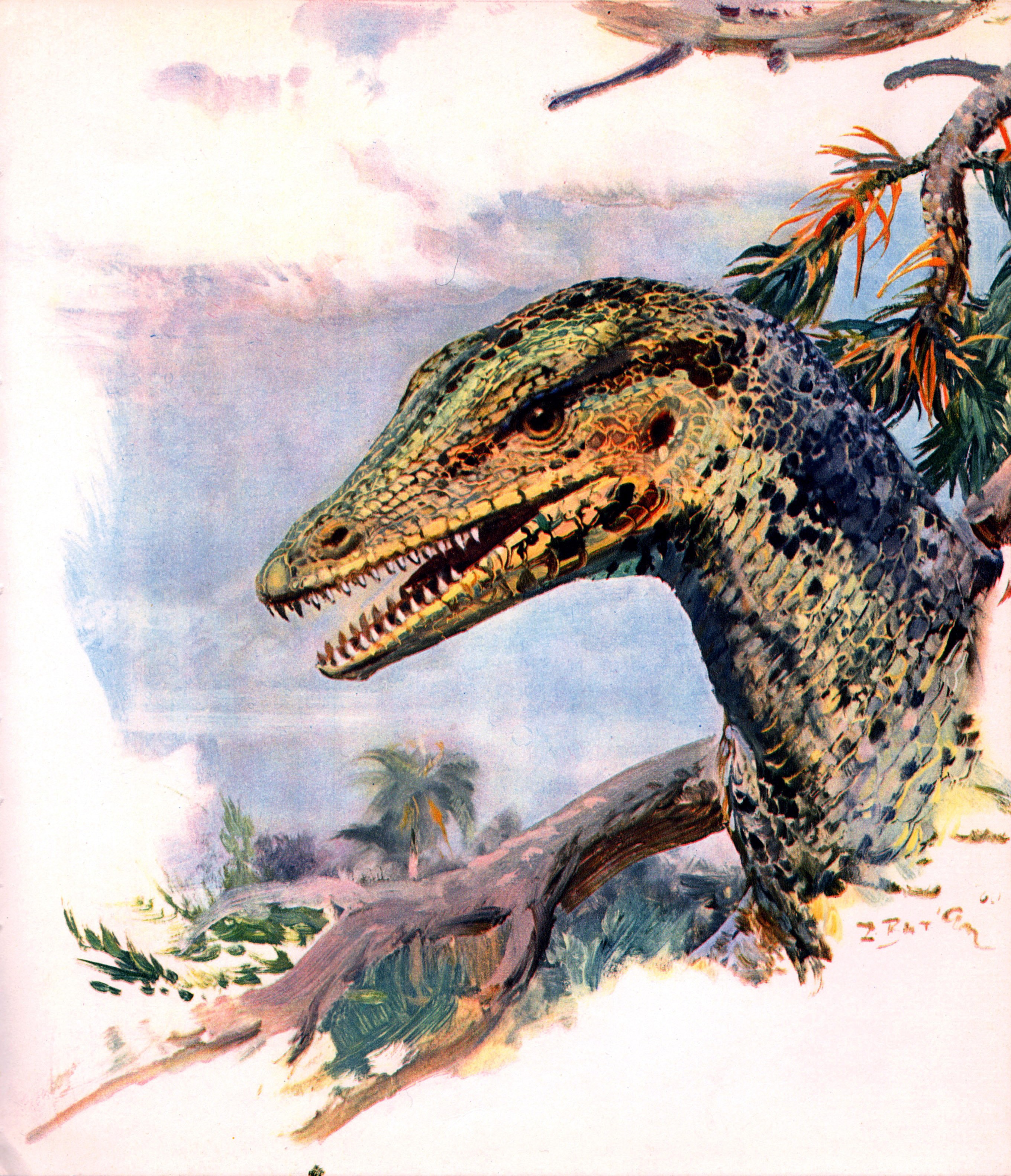 Dinosaur head by Zdenek Burian HD Wallpaper