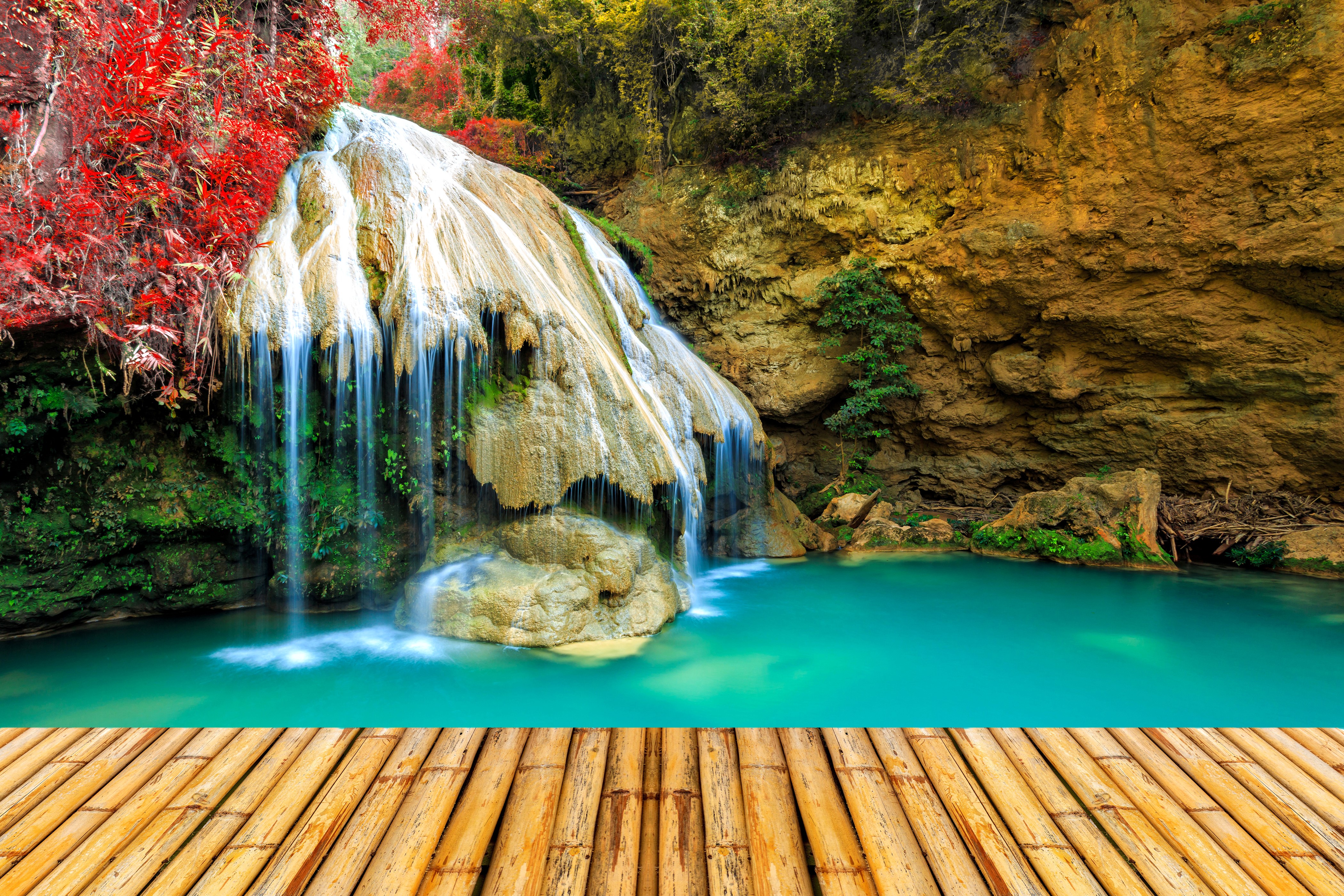 Waterfall cascading into a turquoise pool with bamboo foreground HD Wallpaper