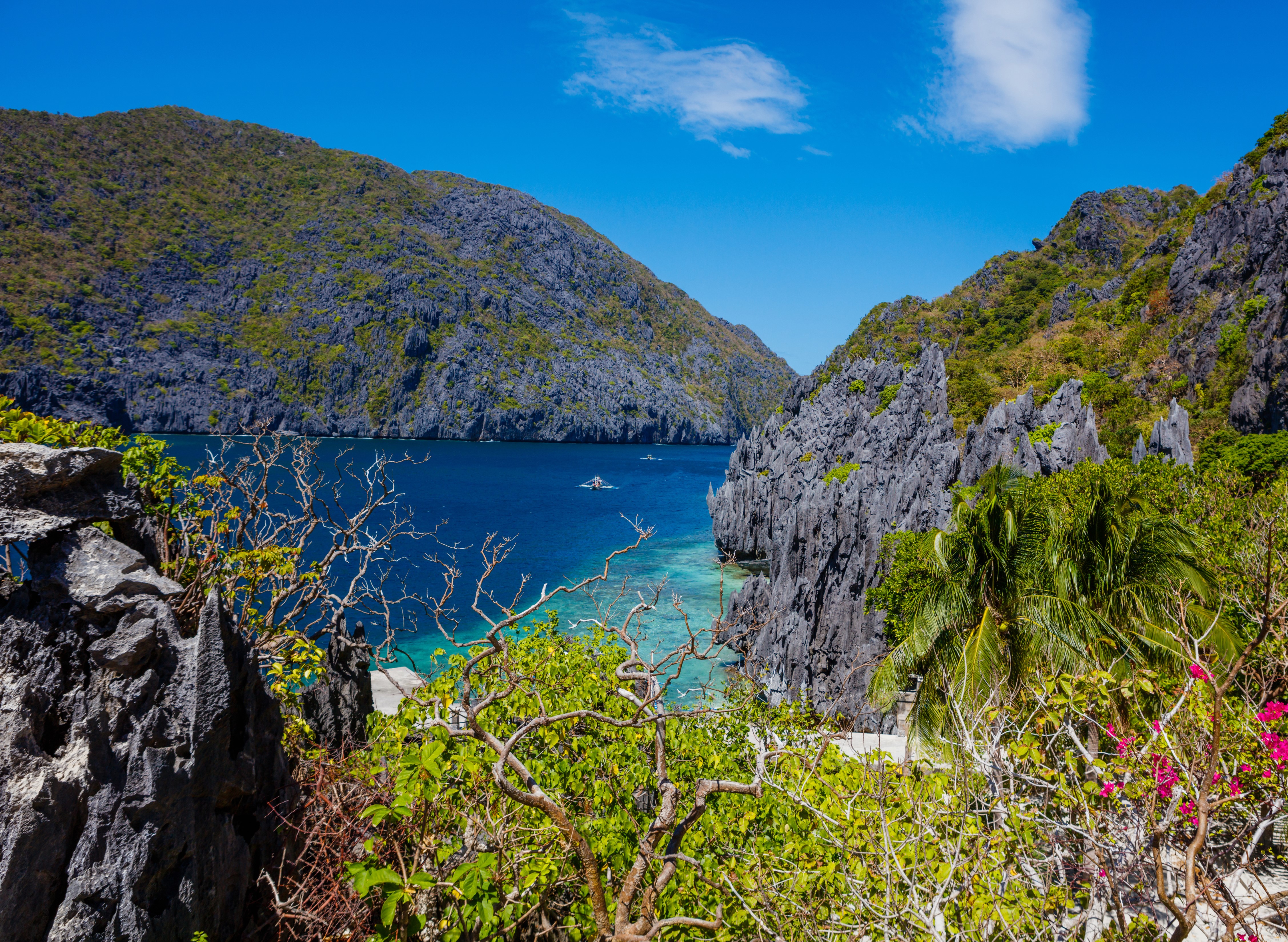 Palawan Bay with Rocky Mountains and Tropical Vegetation HD Wallpaper