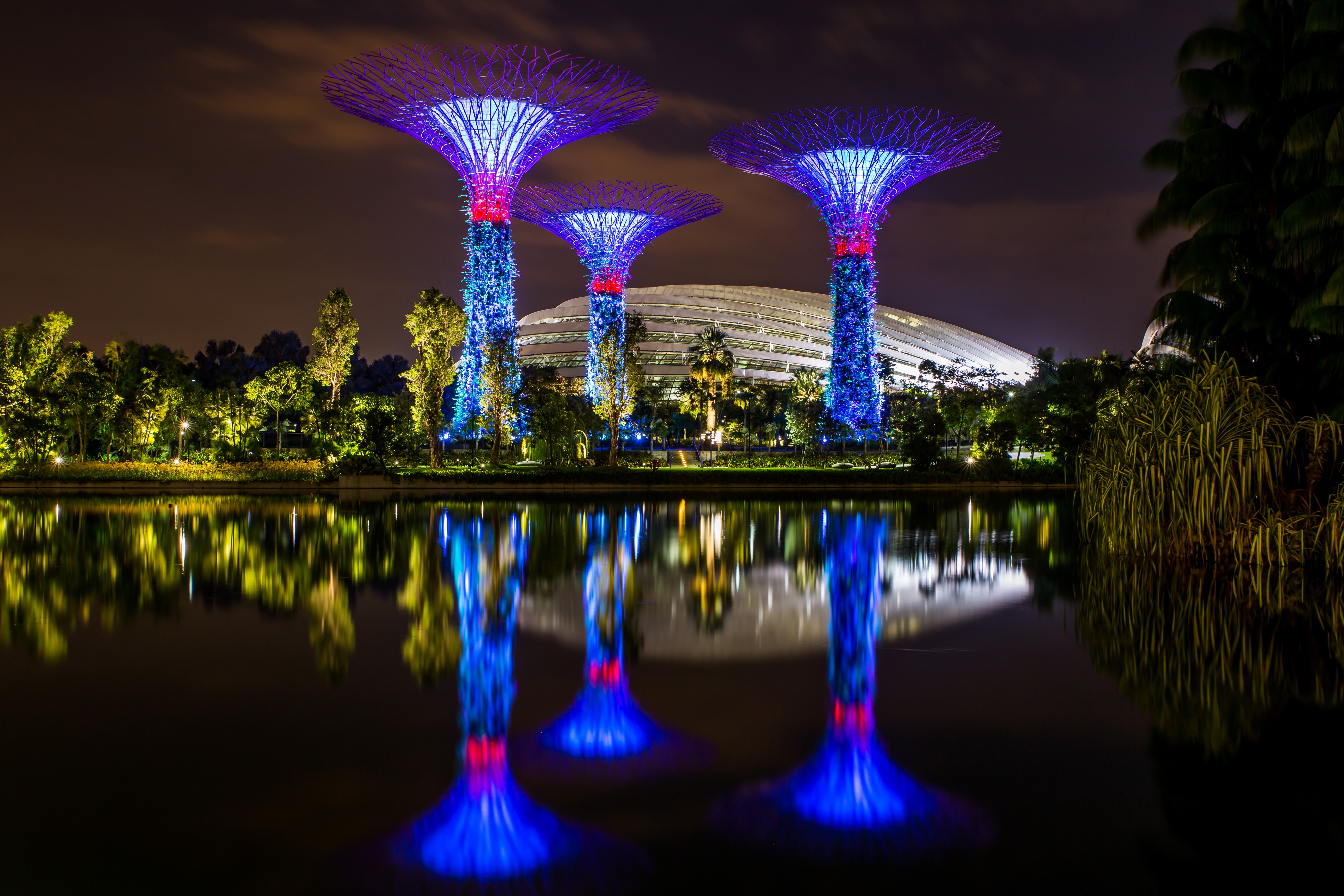 Gardens by the Bay Singapore at Night with Reflections HD Wallpaper