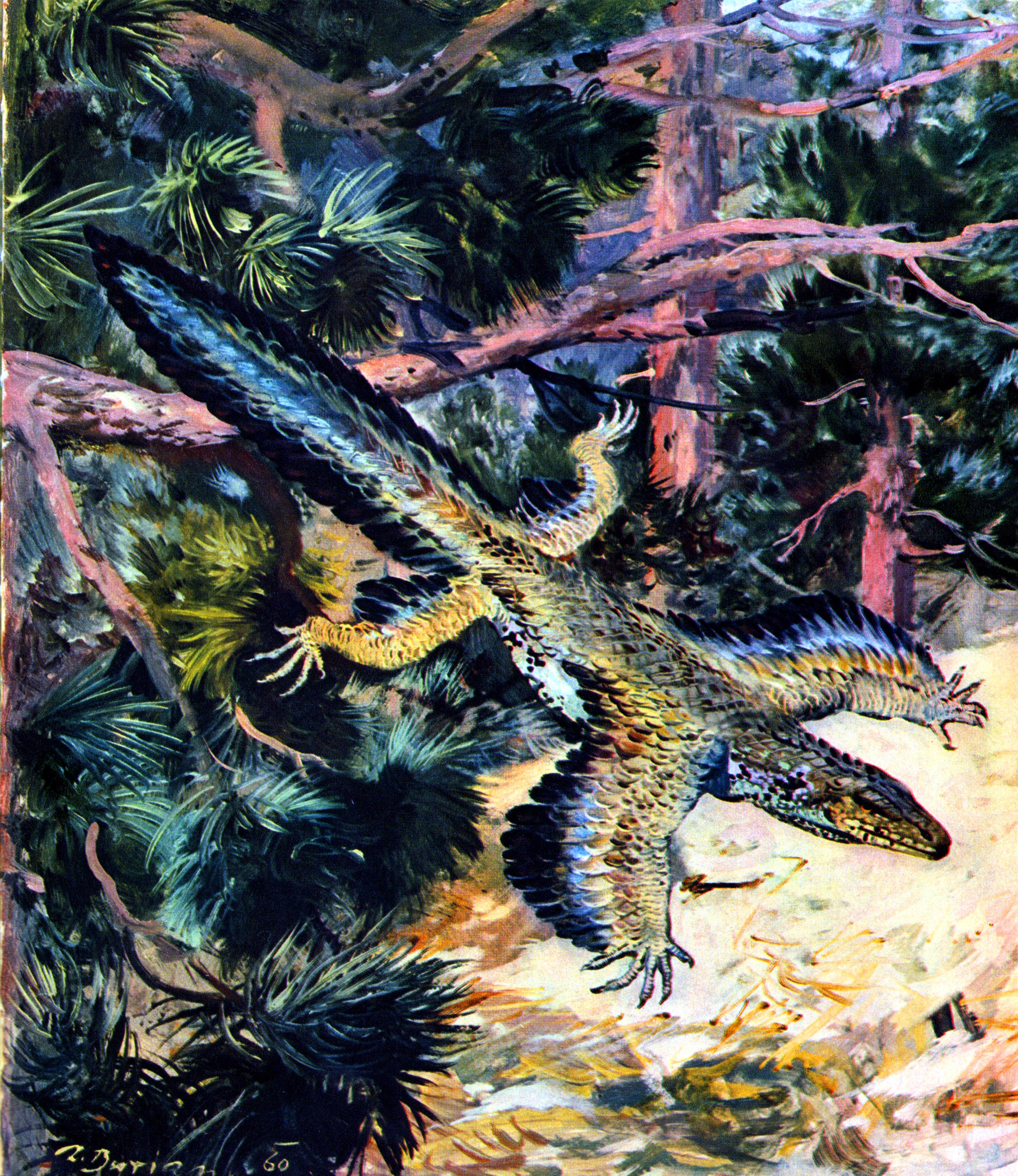 Archaeopteryx in a forest by Zdenek Burian HD Wallpaper