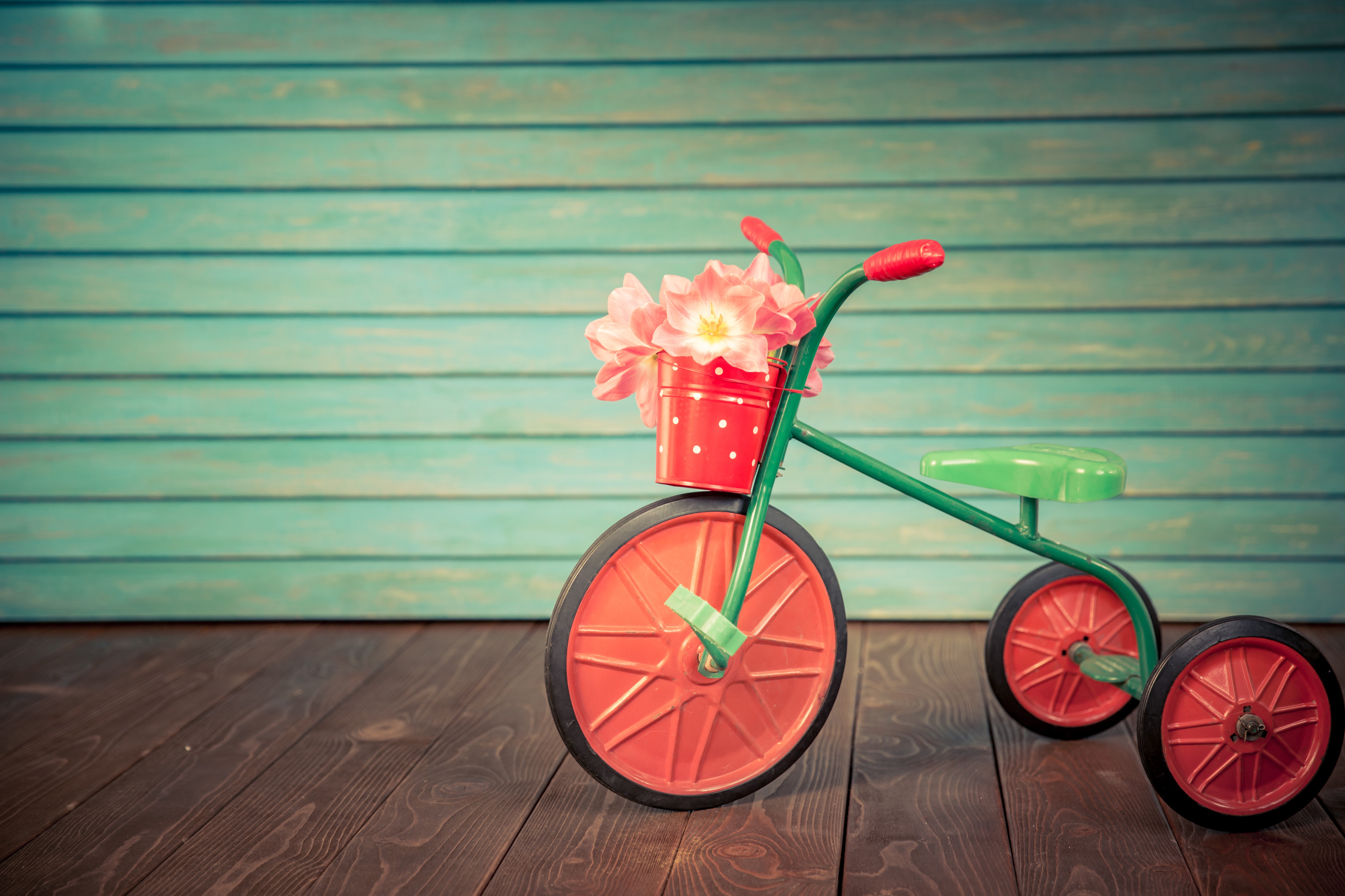Tricycle with flowers in a bucket HD Wallpaper