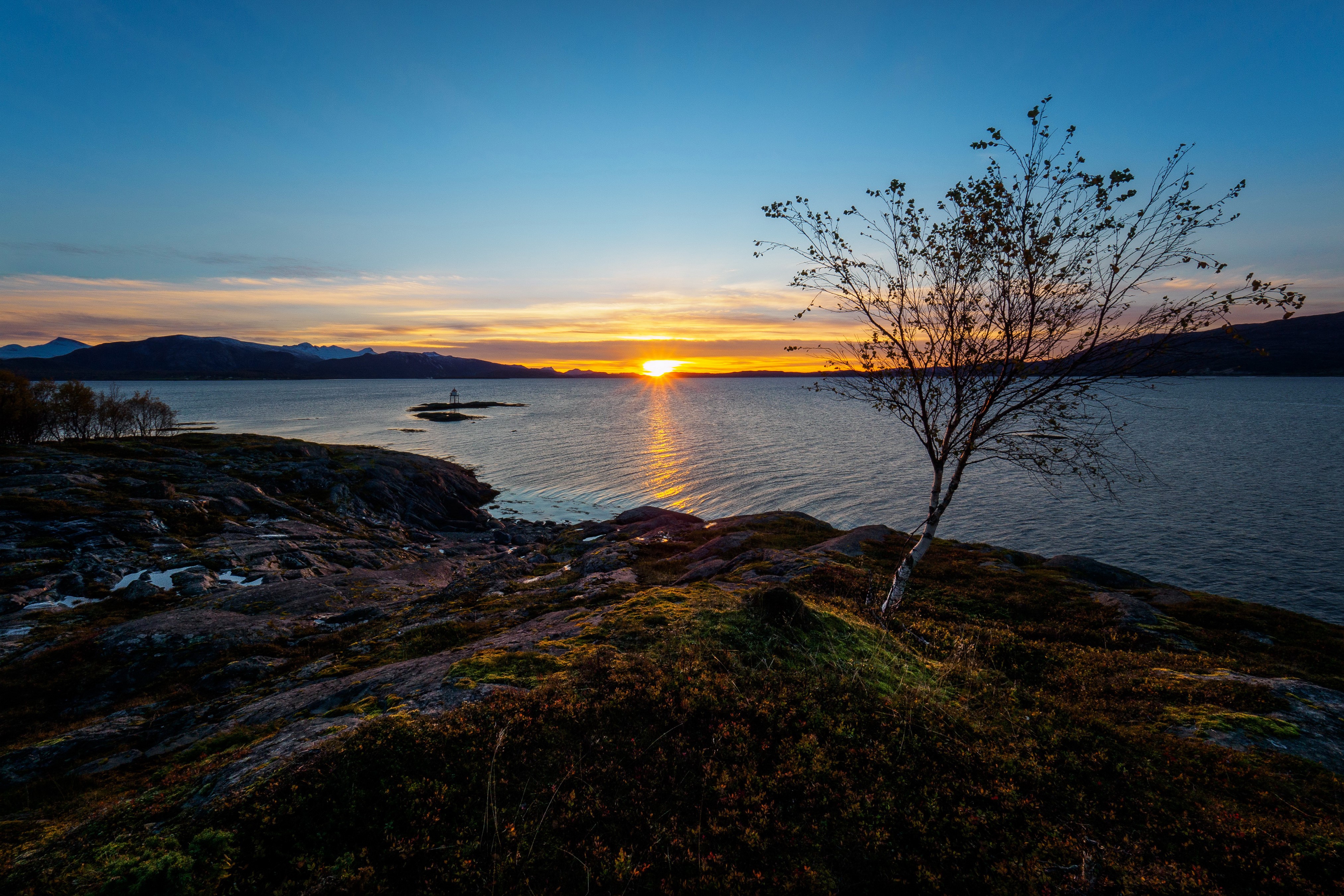 Sunset over Norwegian coast with lone tree HD Wallpaper