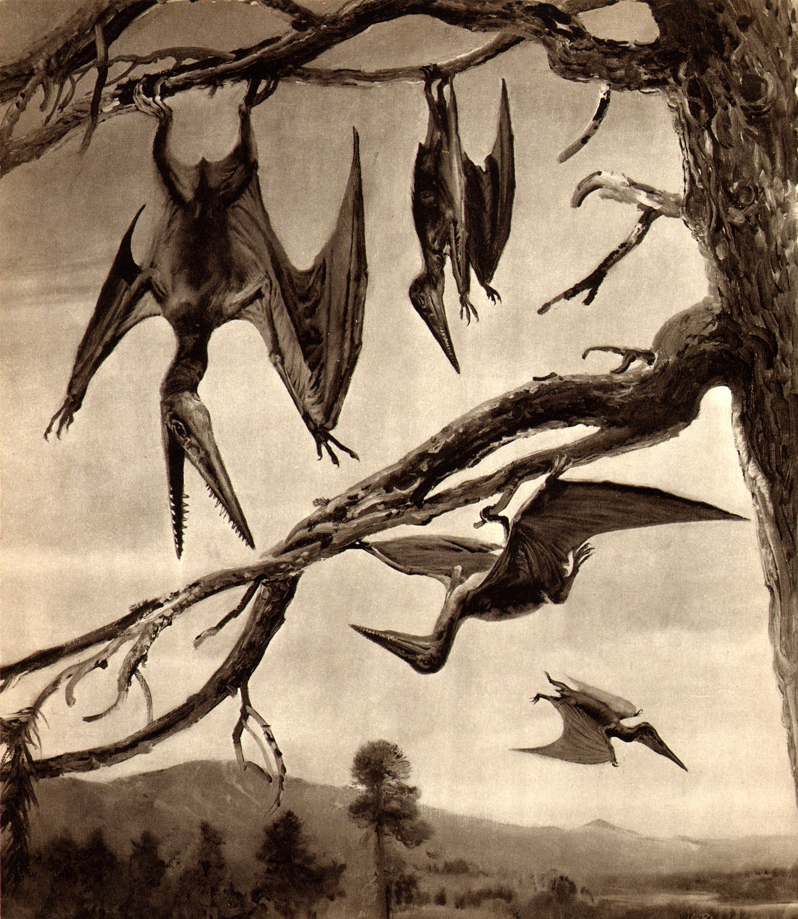 Pterodactyls hanging from tree branches HD Wallpaper