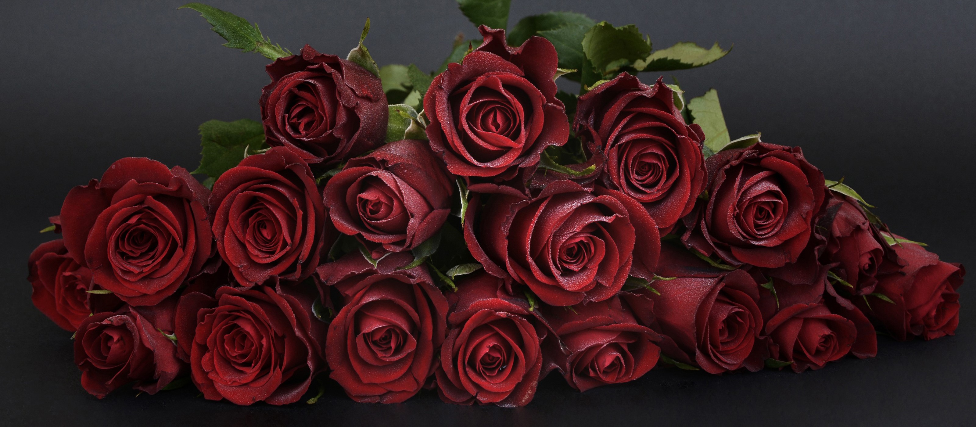 A bouquet of deep red roses on a dark background HD Wallpaper