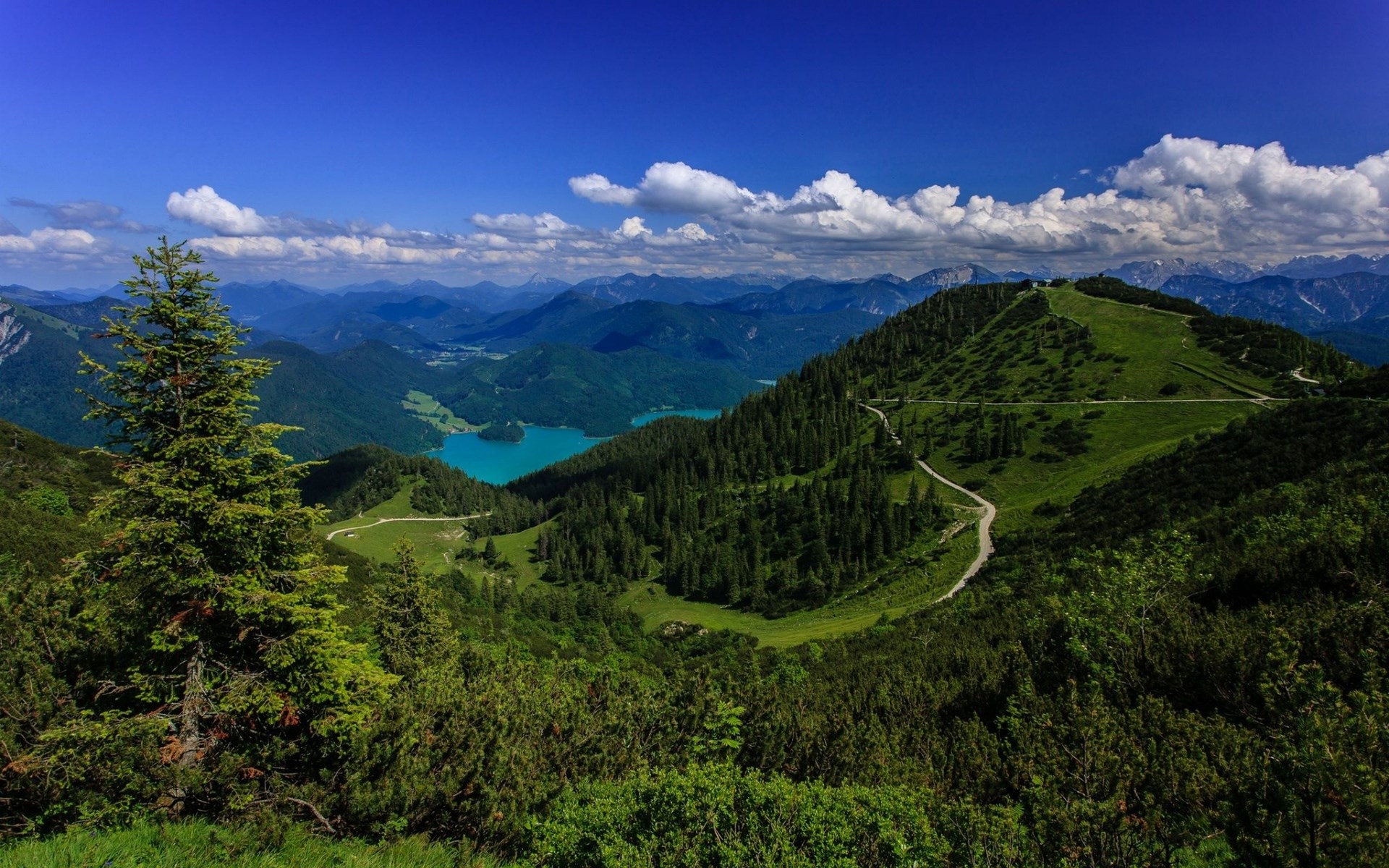 Mountain landscape with lake and trees HD Wallpaper
