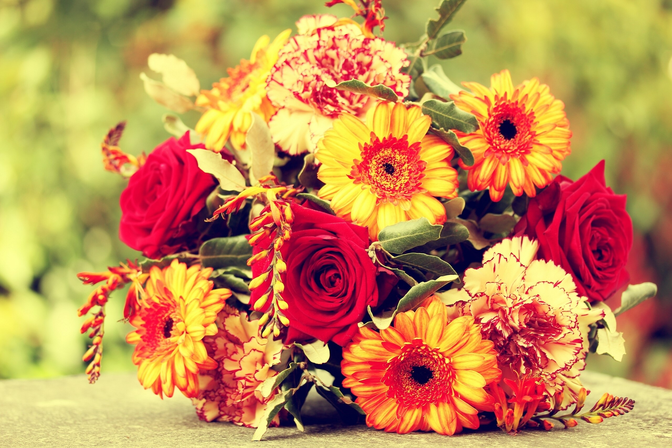 Bouquet of Red Roses and Yellow Gerbera Daisies HD Wallpaper