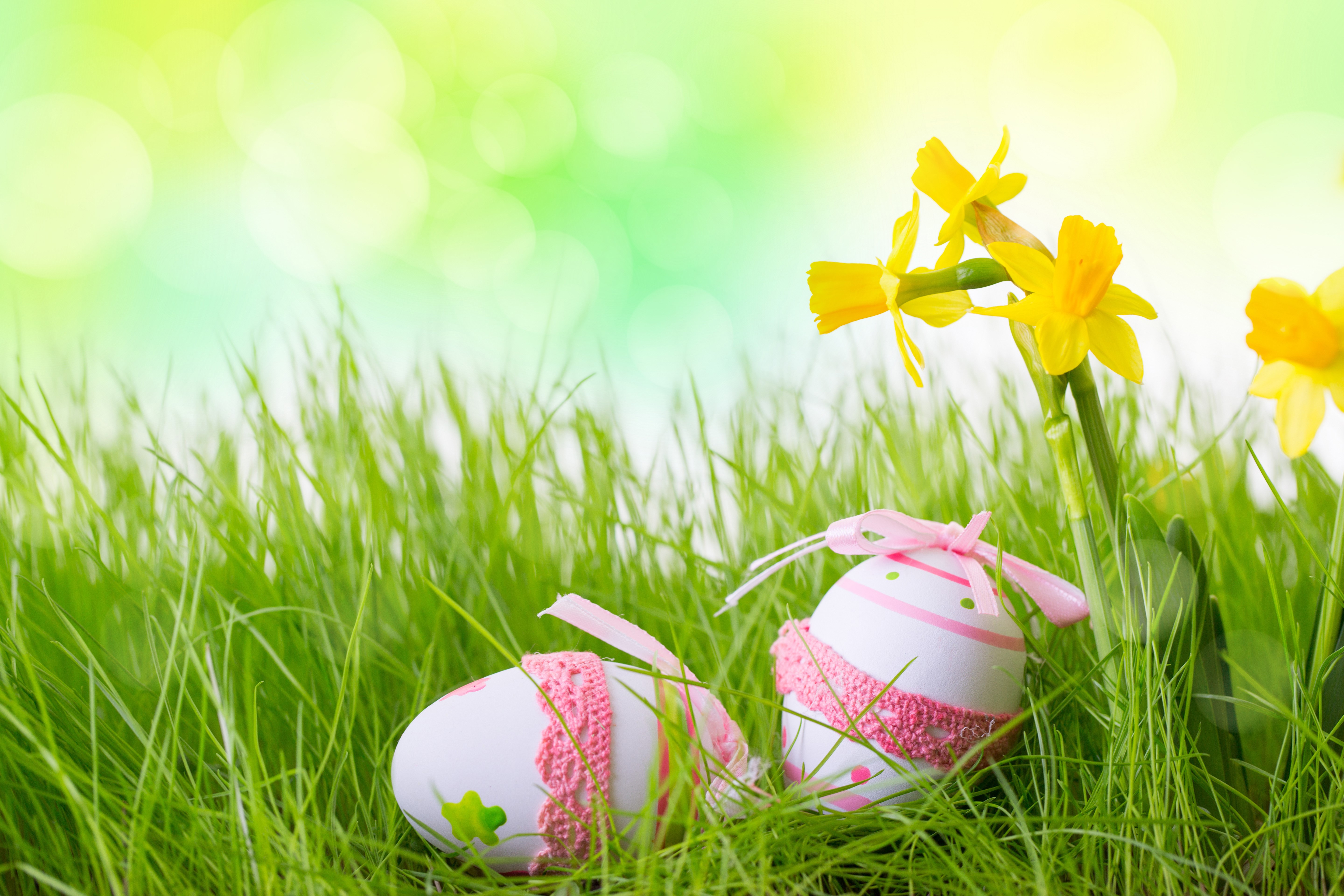 Easter Eggs and Daffodils in Green Grass HD Wallpaper