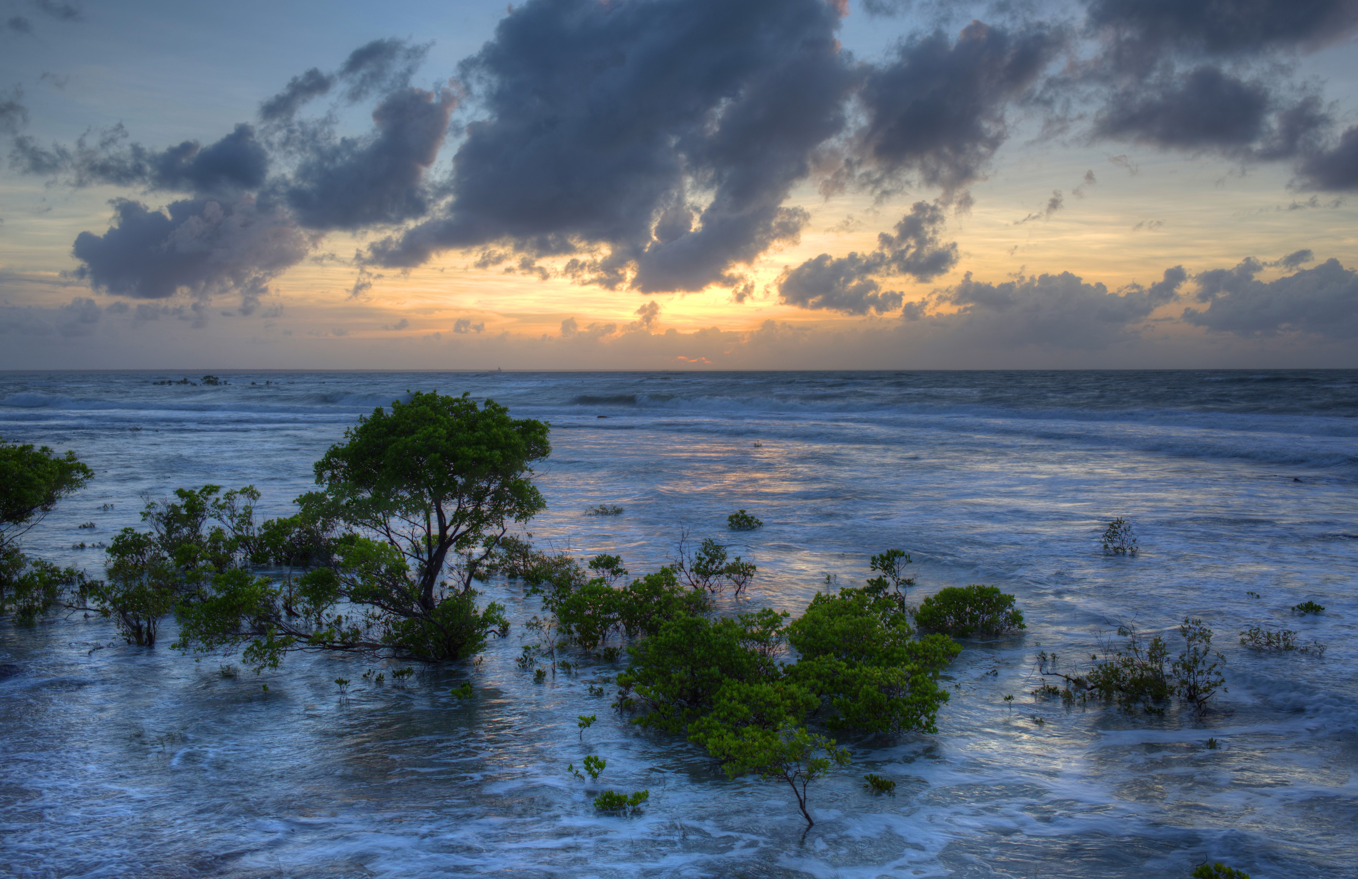 4K Darwin Northern Territory Australia Sea Evening Shrubs Clouds HD Wallpaper