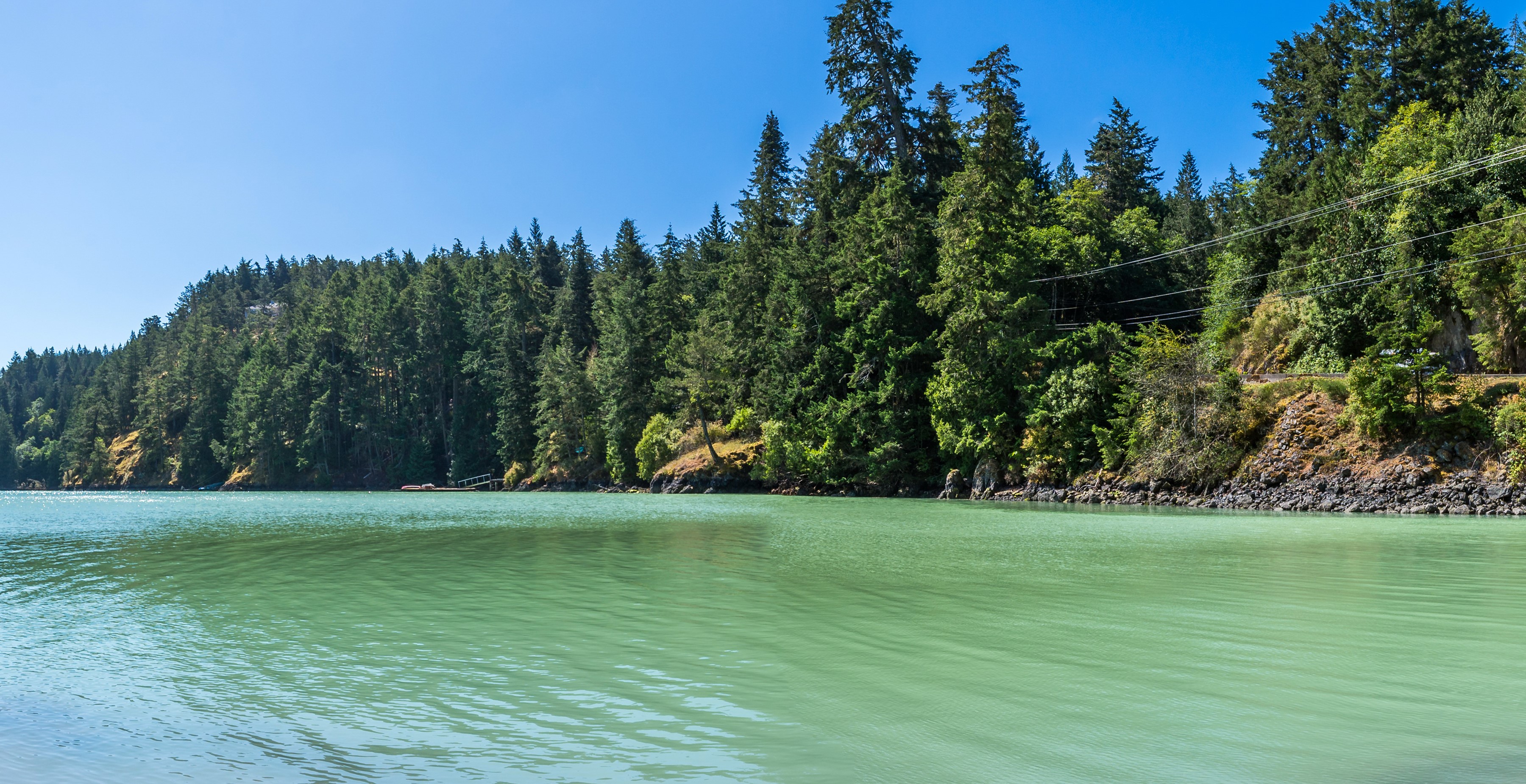 Green lake with forested hills and blue sky HD Wallpaper