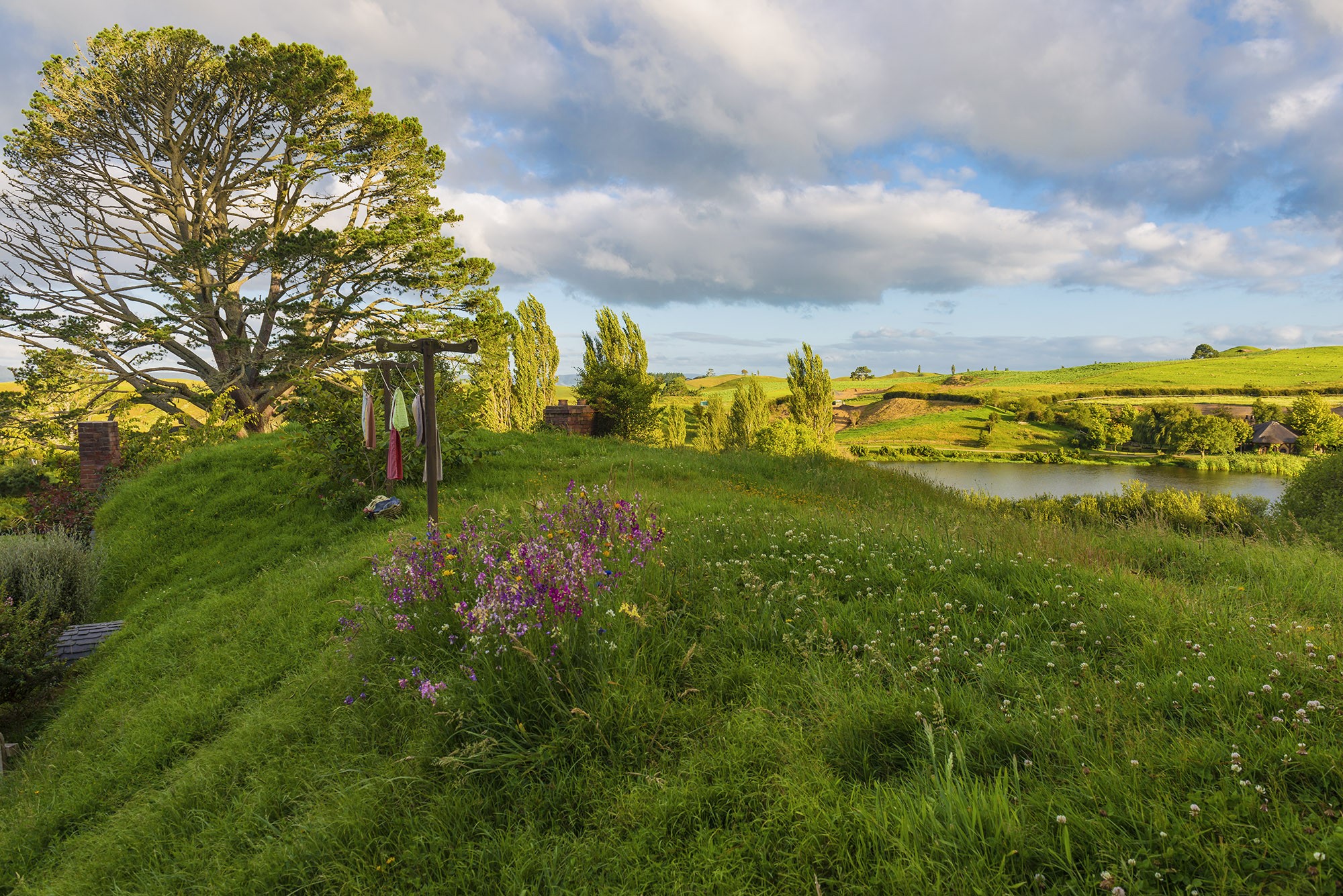 Hobbiton, Buckland, Waikato, New Zealand HD Wallpaper