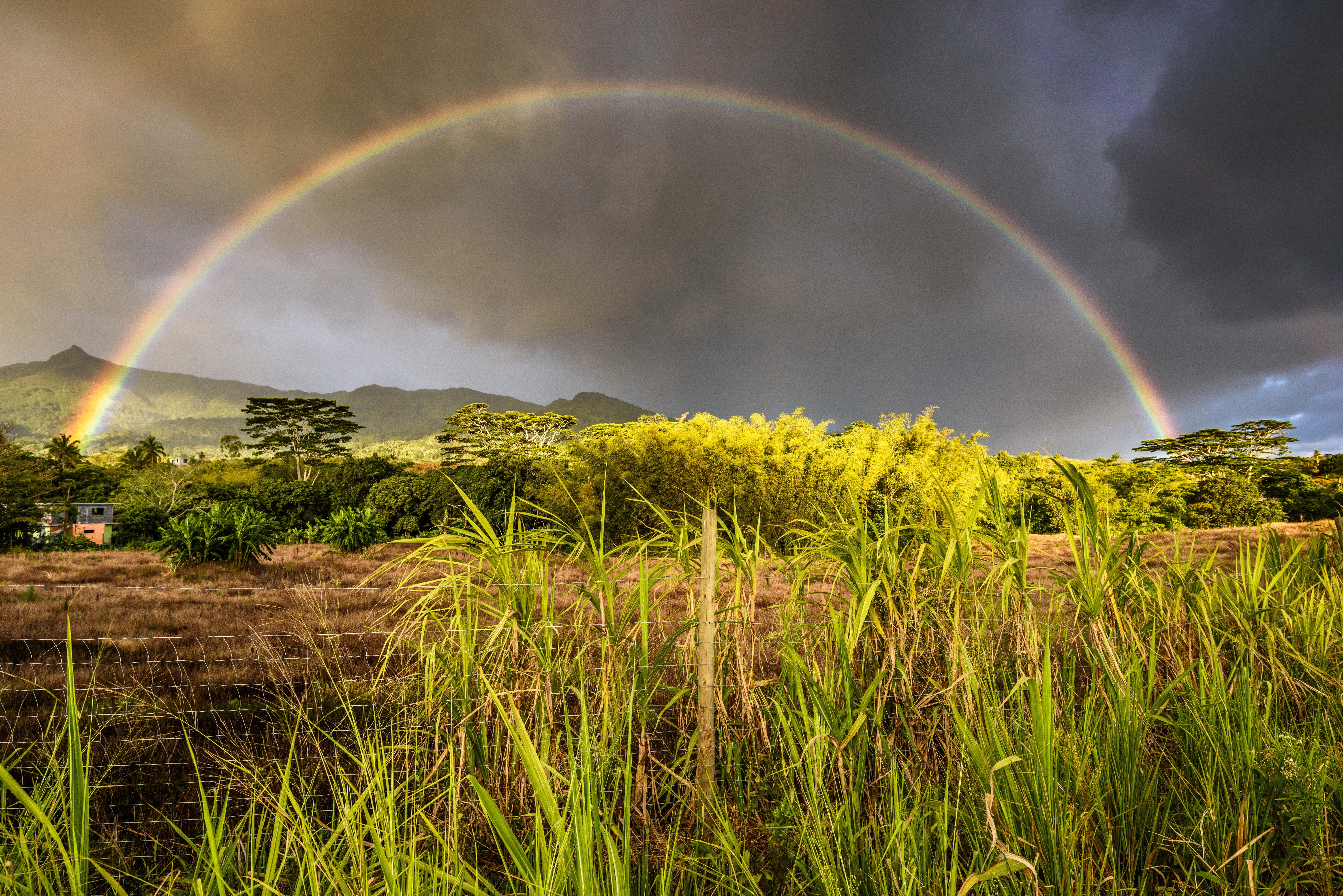 Rainbow over a tropical landscape in Mauritius HD Wallpaper