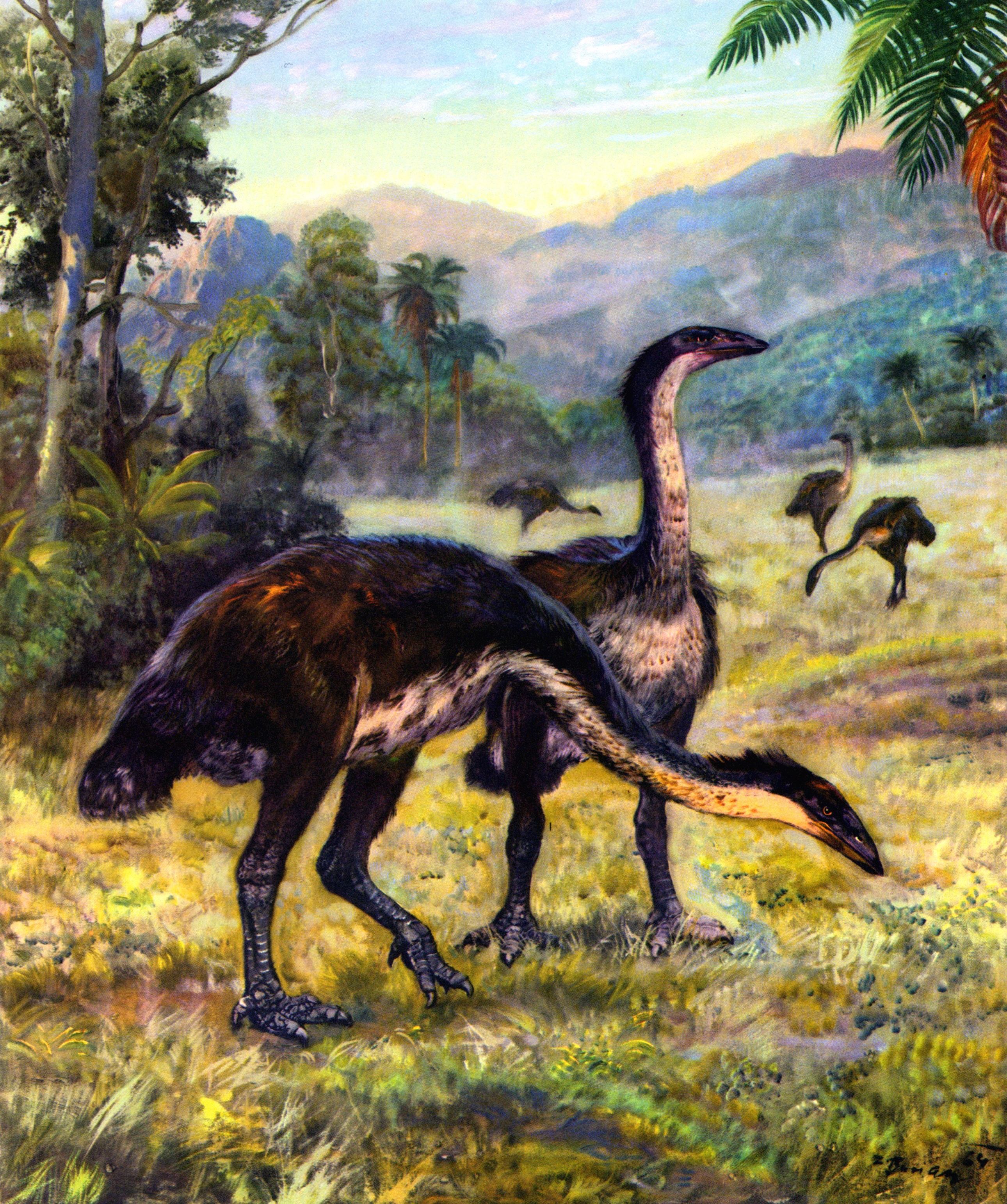 Aepyornis maximus birds in a prehistoric landscape by Zdenek Burian HD Wallpaper