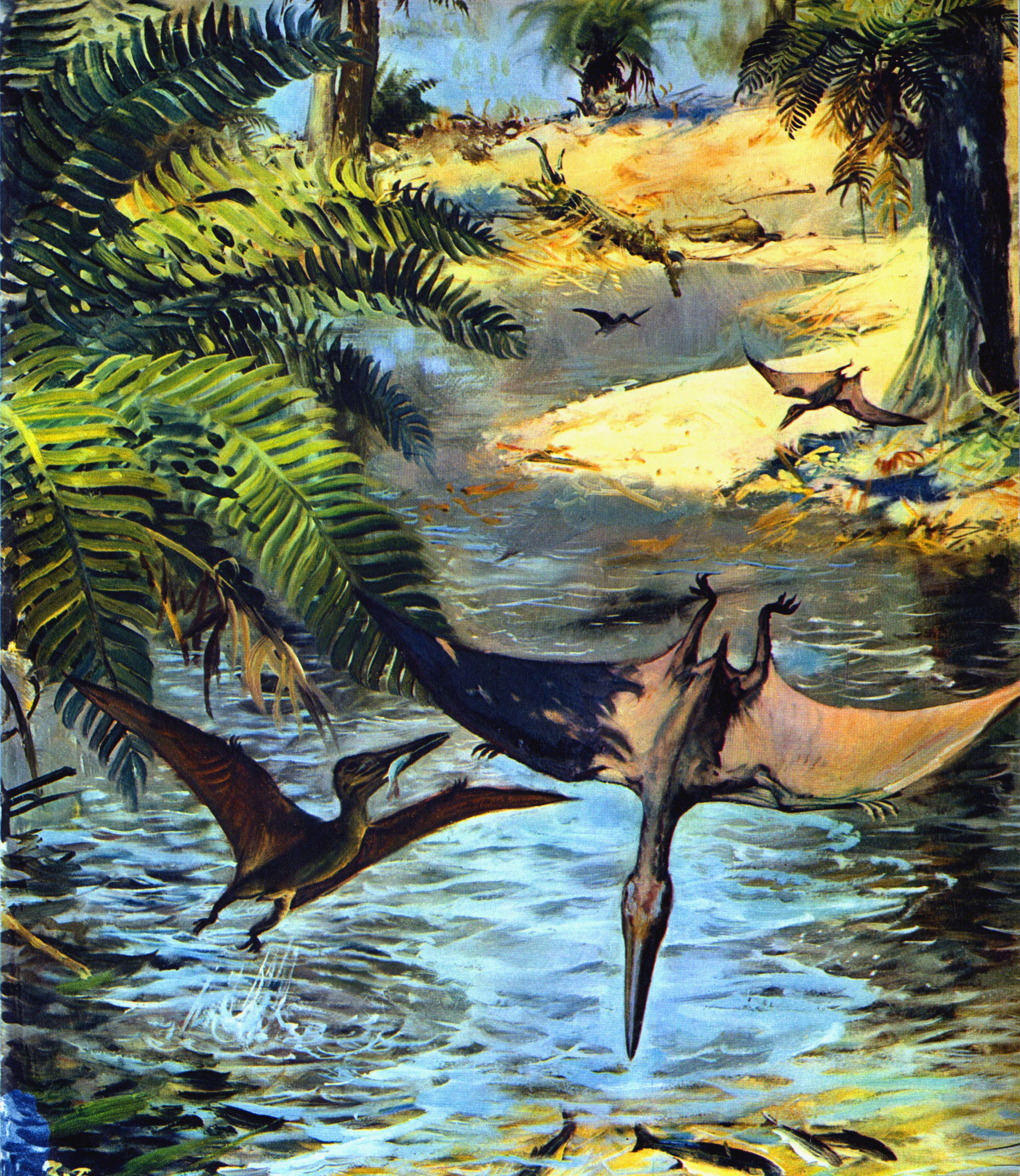 Pterodactylus elegans hunting fish in a prehistoric river HD Wallpaper