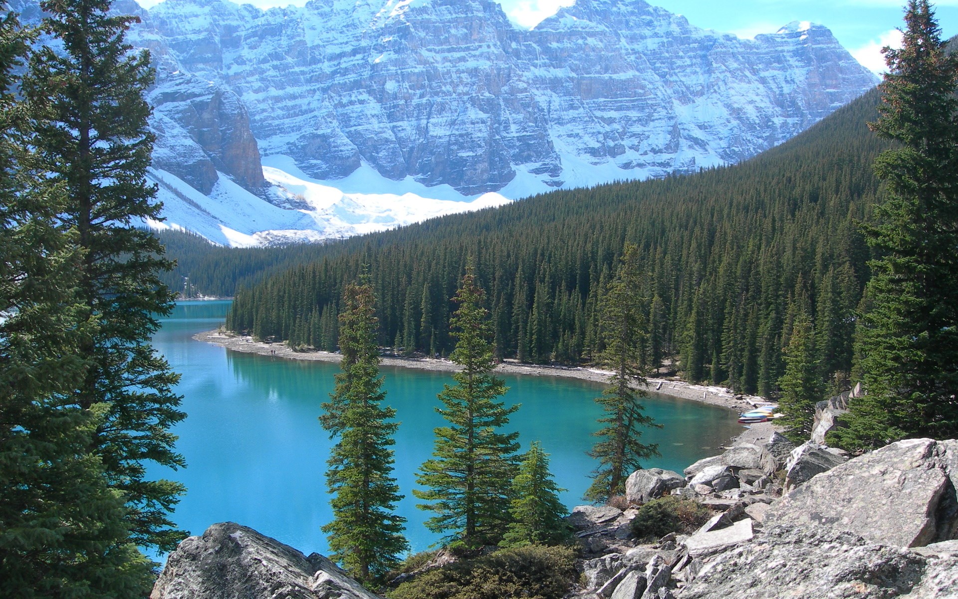 Turquoise lake and snow-capped mountains with pine forest HD Wallpaper