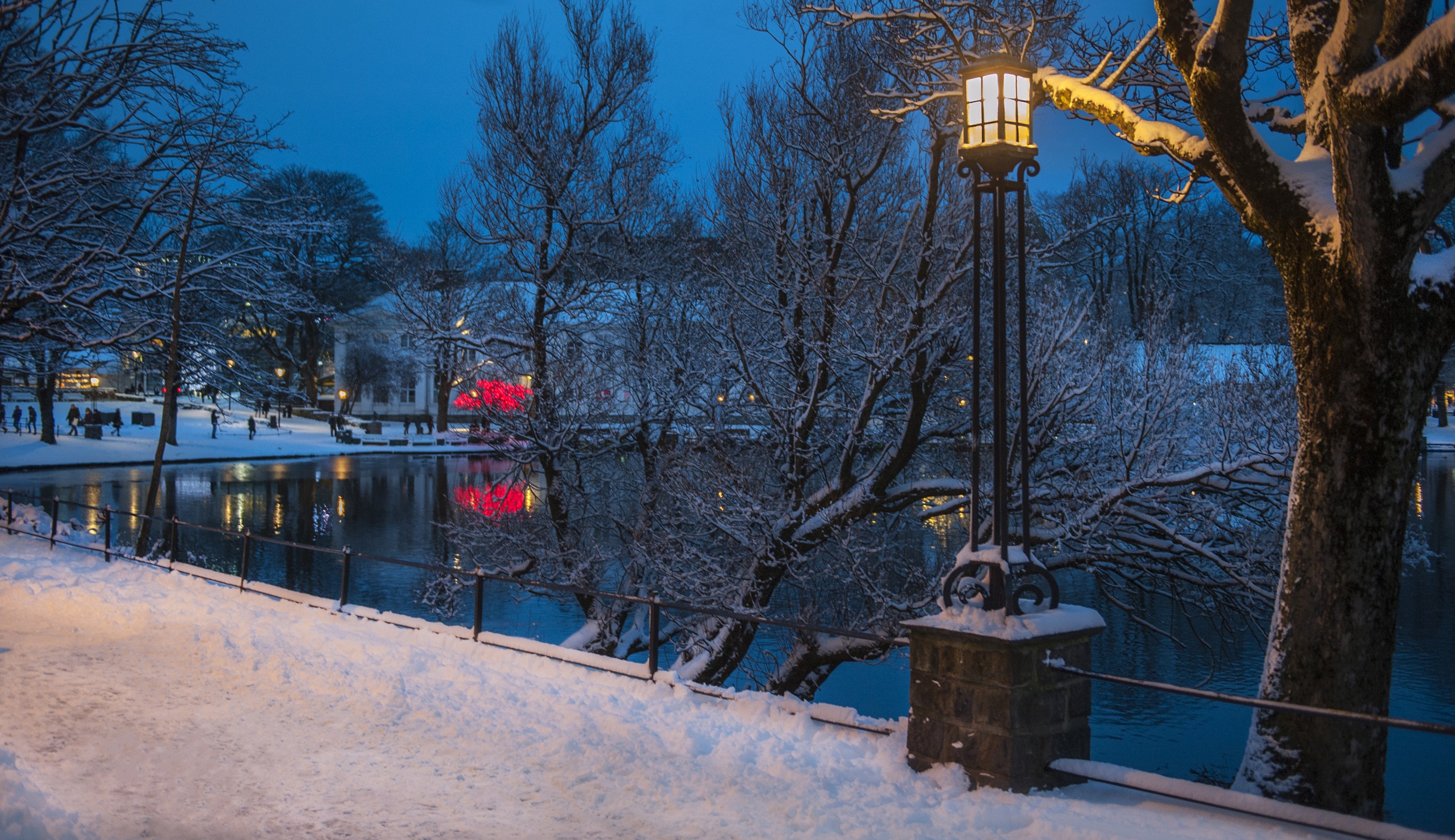 Winter scene with snow-covered trees and a pond in Stavanger, Norway HD Wallpaper