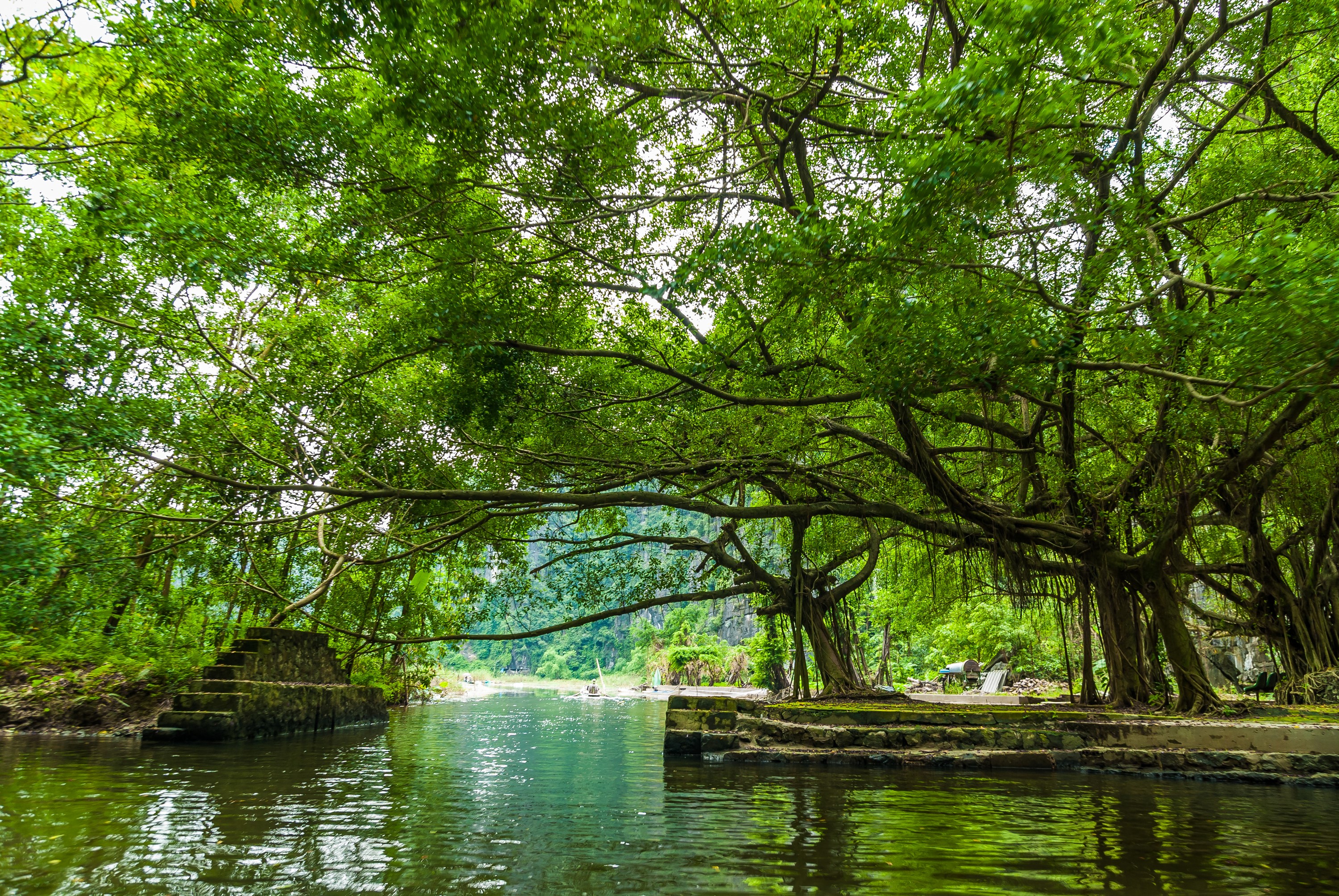 River with large trees and stone stairs in Vietnam HD Wallpaper