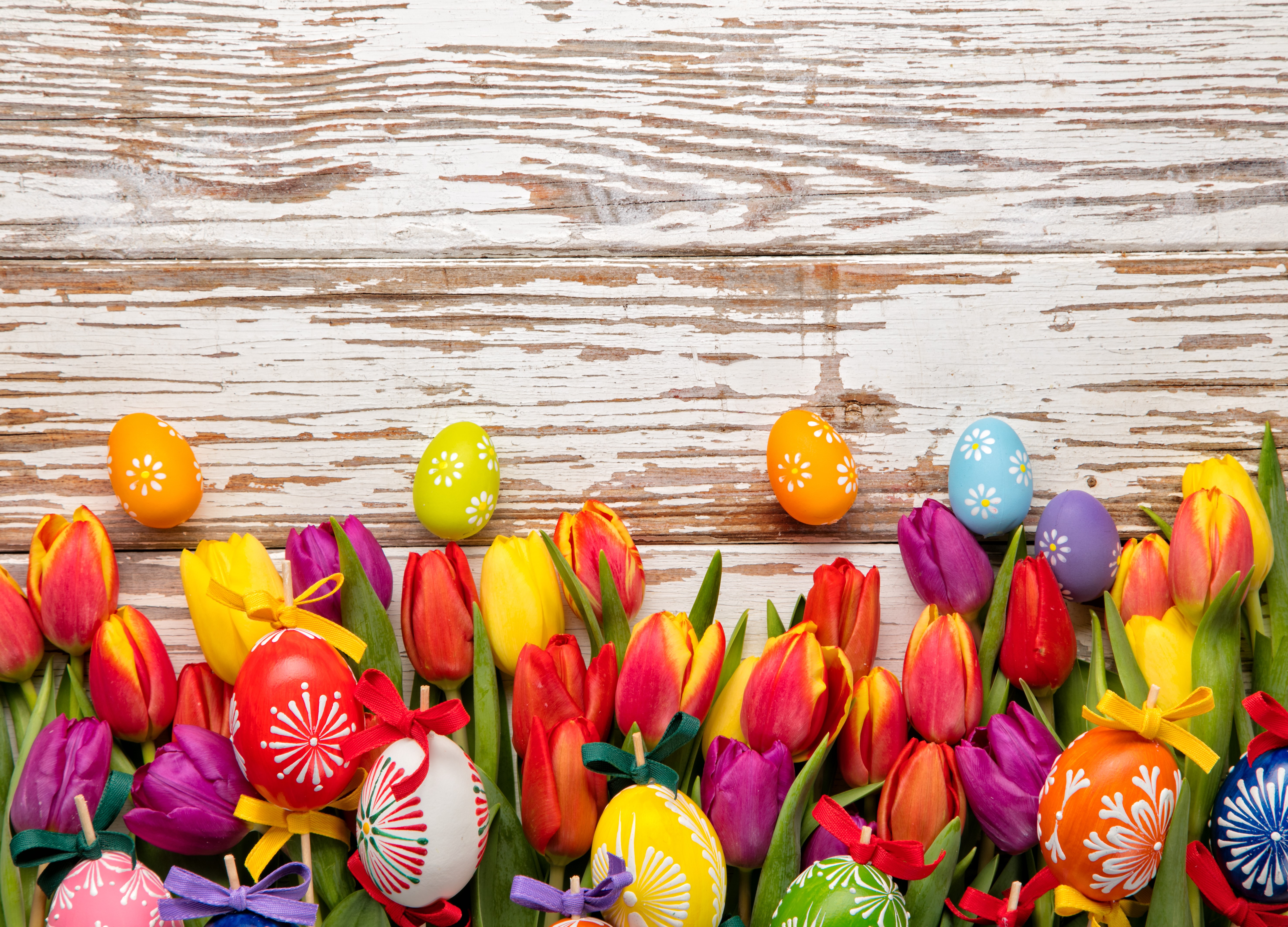 Easter Eggs and Tulips on Wood Planks HD Wallpaper