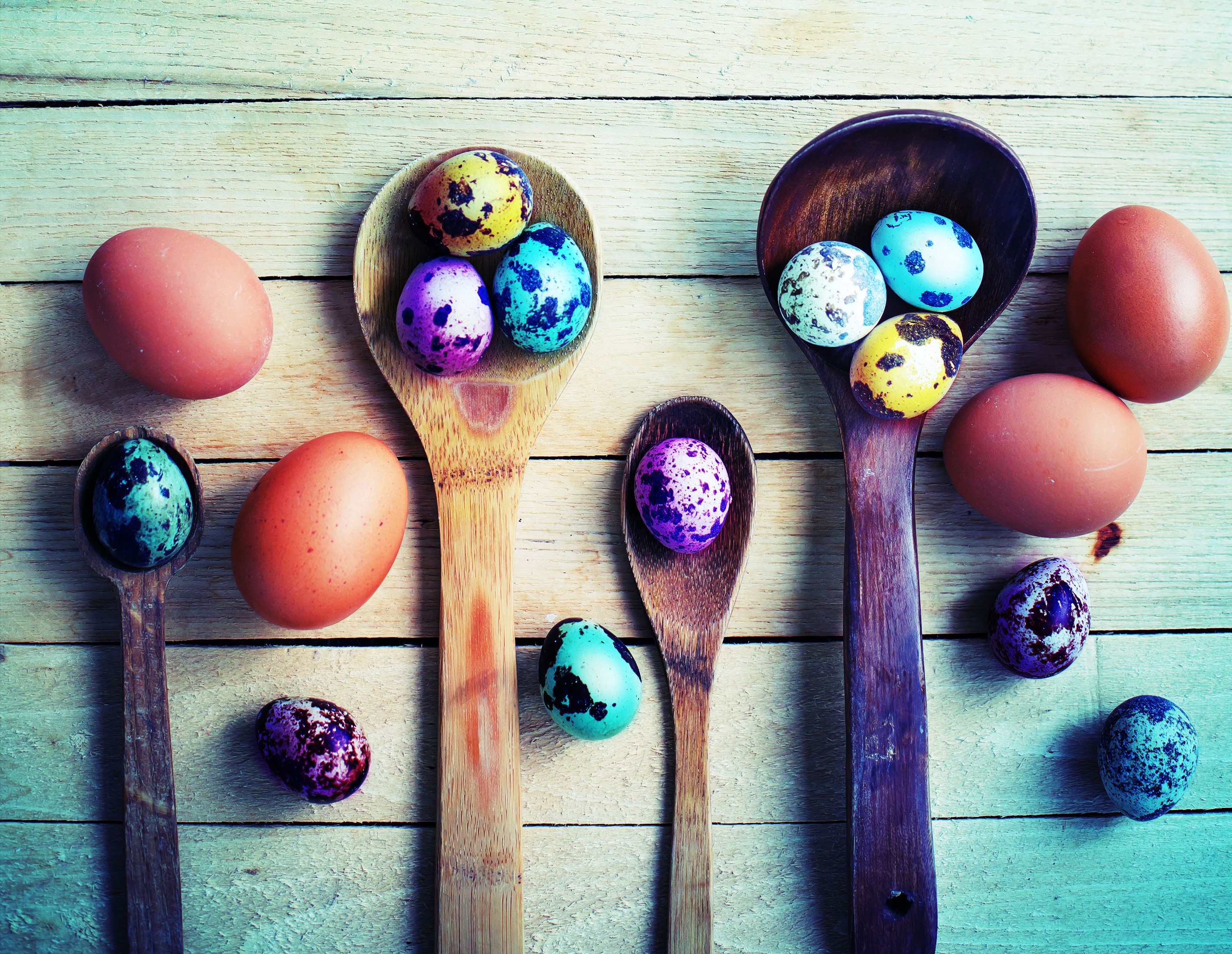 Easter eggs in wooden spoons on planks HD Wallpaper