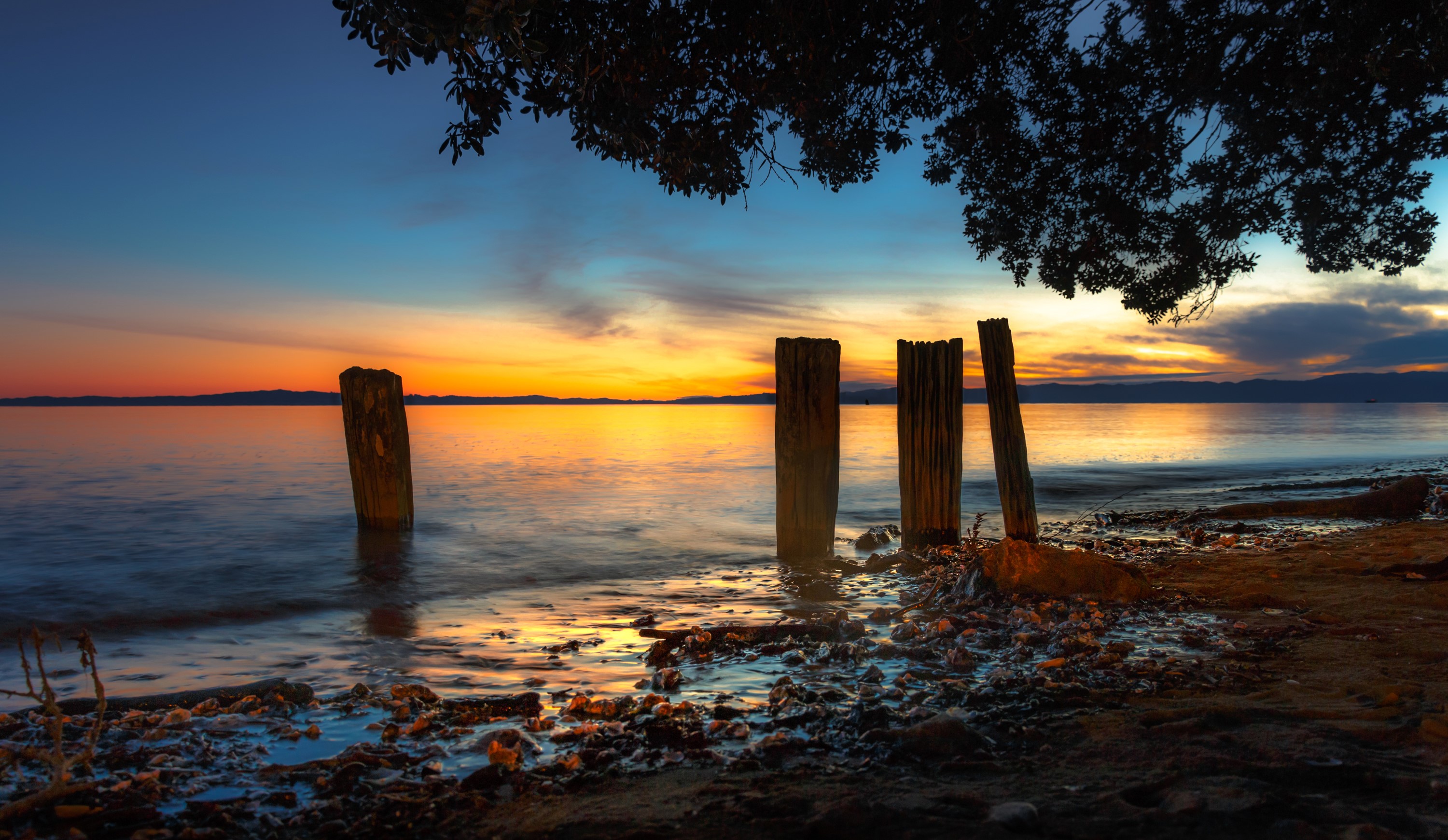 Wooden posts in the water at sunset in New Zealand HD Wallpaper
