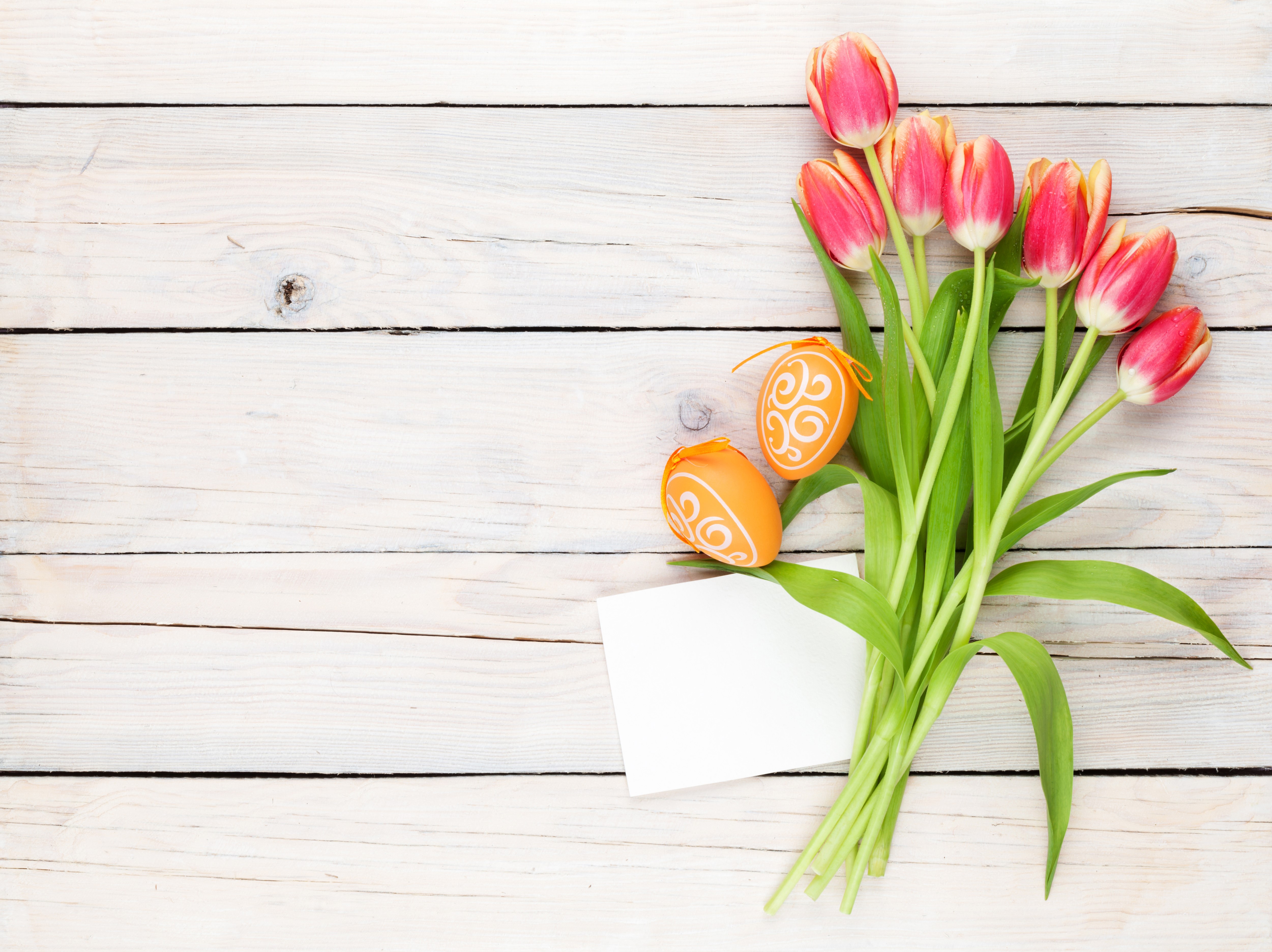 Easter Tulips and Eggs on Wood Planks HD Wallpaper