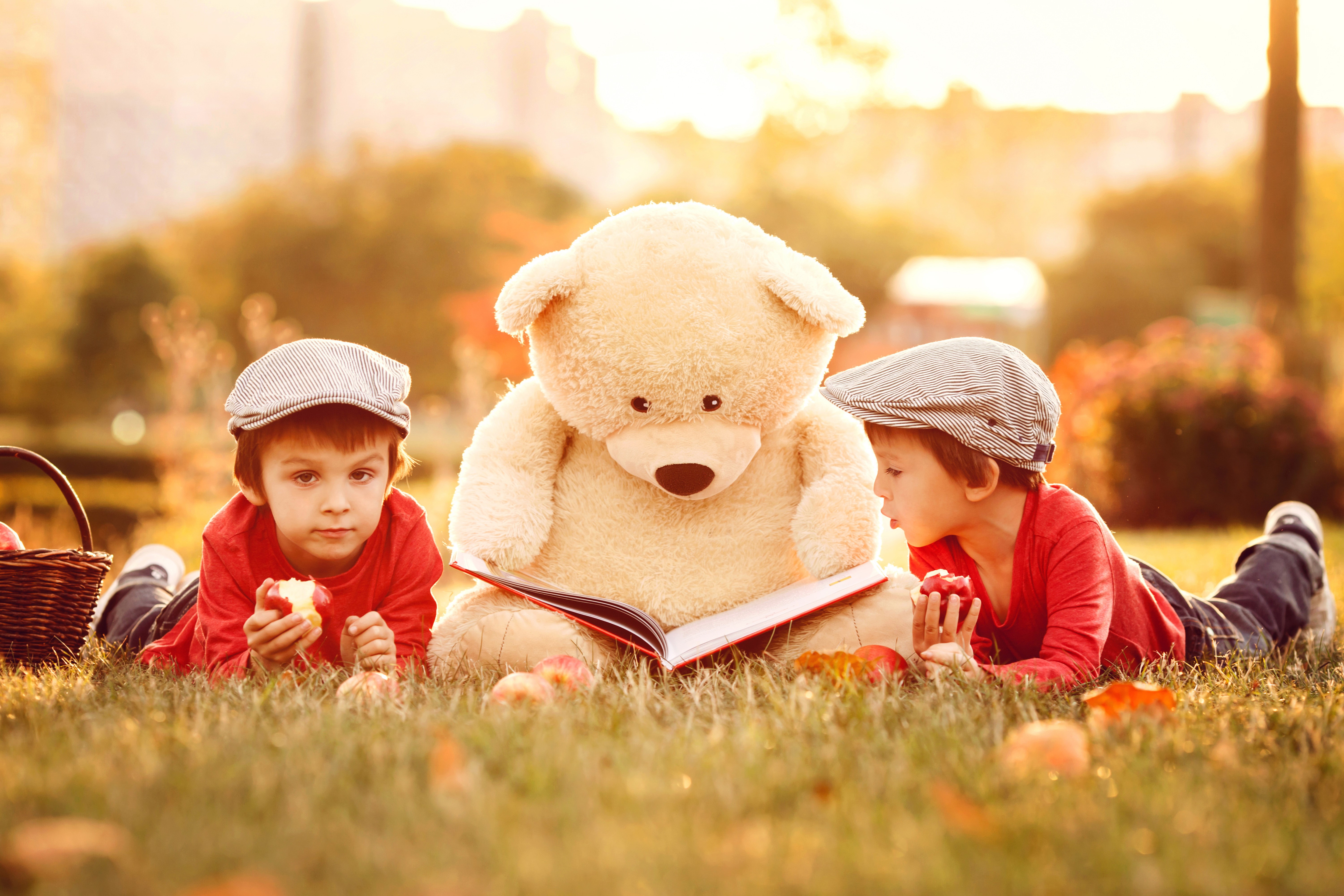 Two boys and a teddy bear reading a book HD Wallpaper