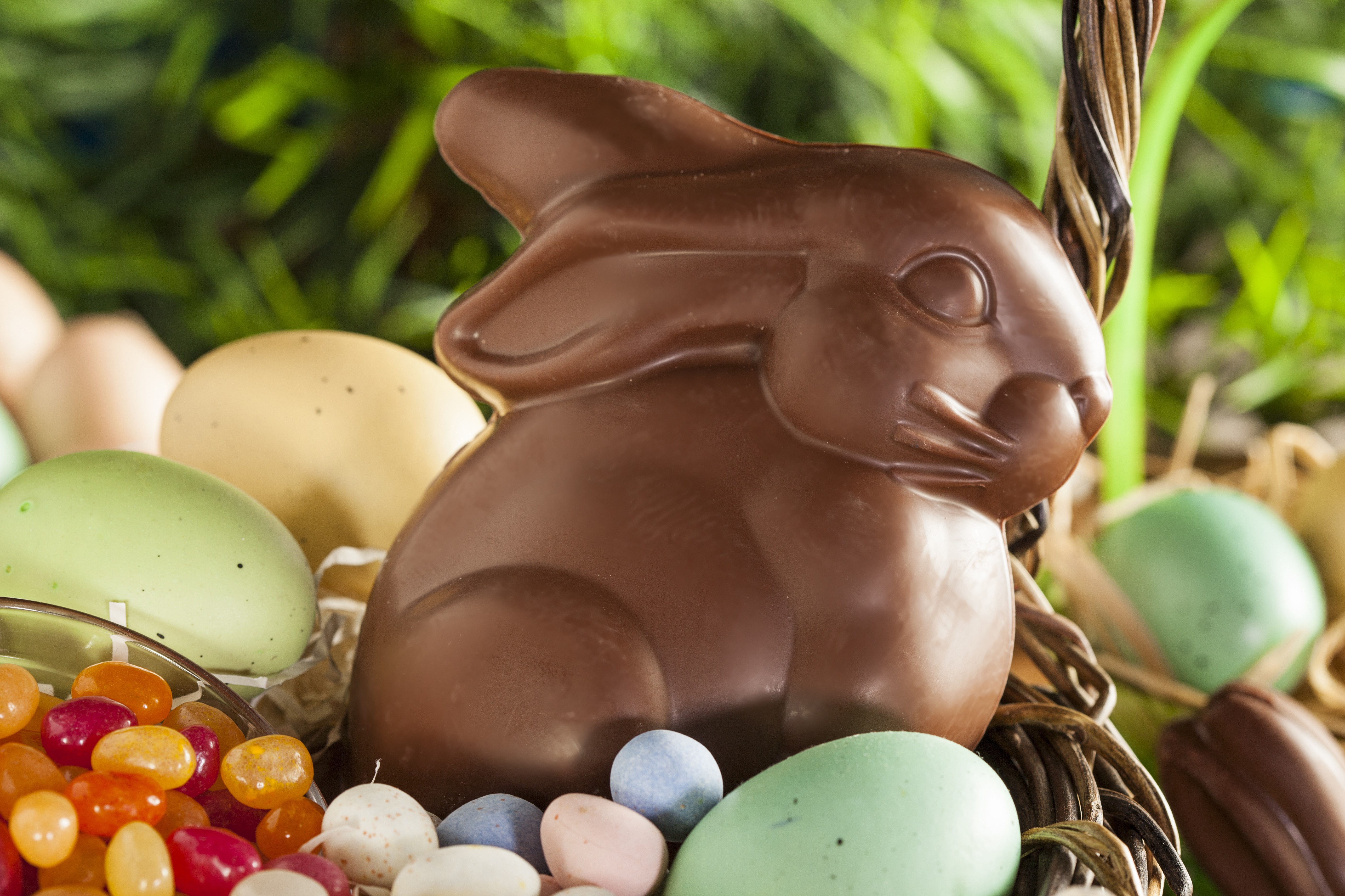 Easter chocolate bunny with eggs and jelly beans HD Wallpaper